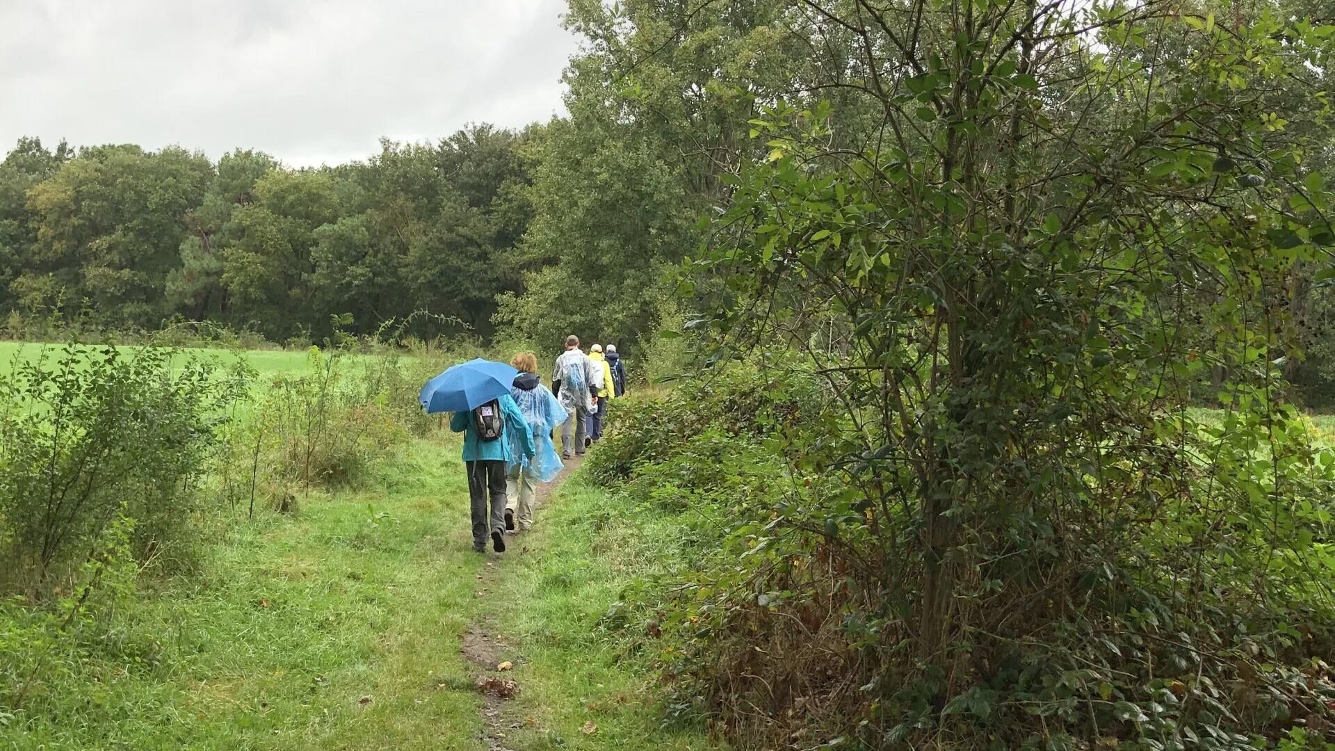 Herfstwandeltocht door het Geffense veld
