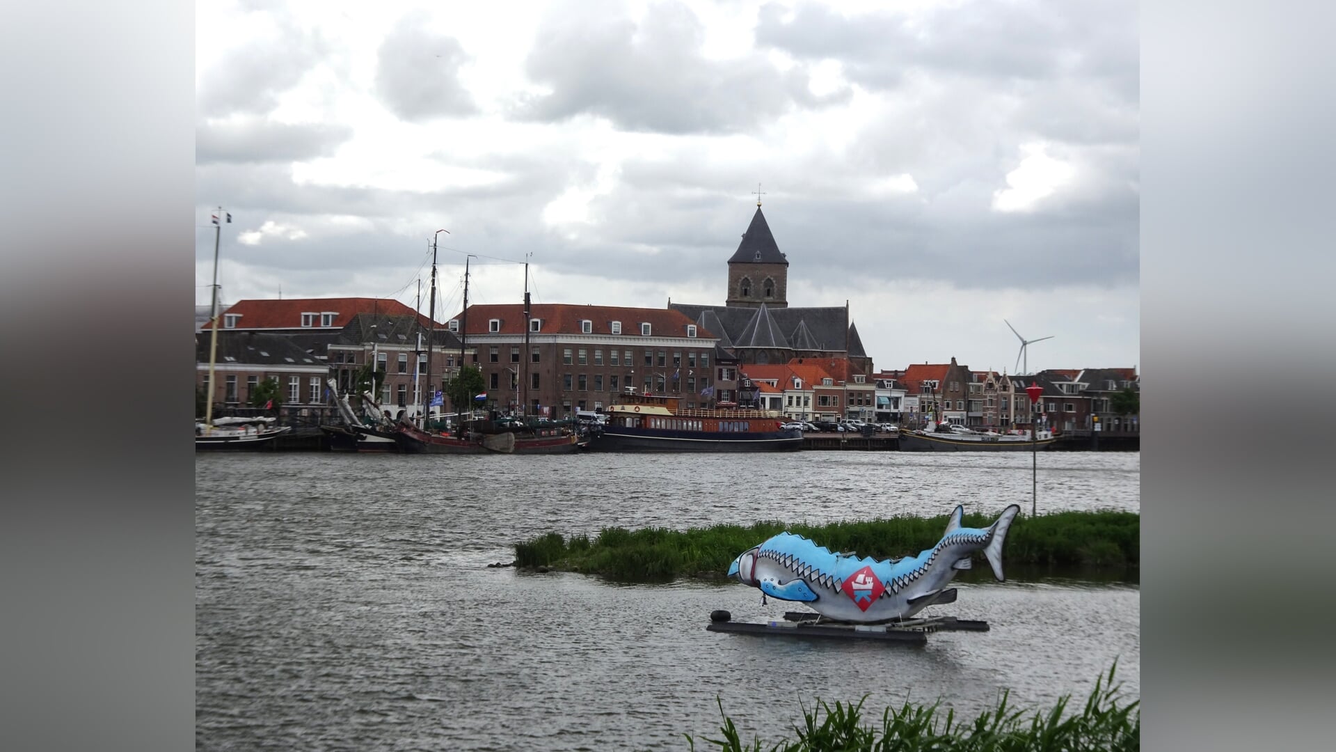 Nieuwe plek voor onze steur