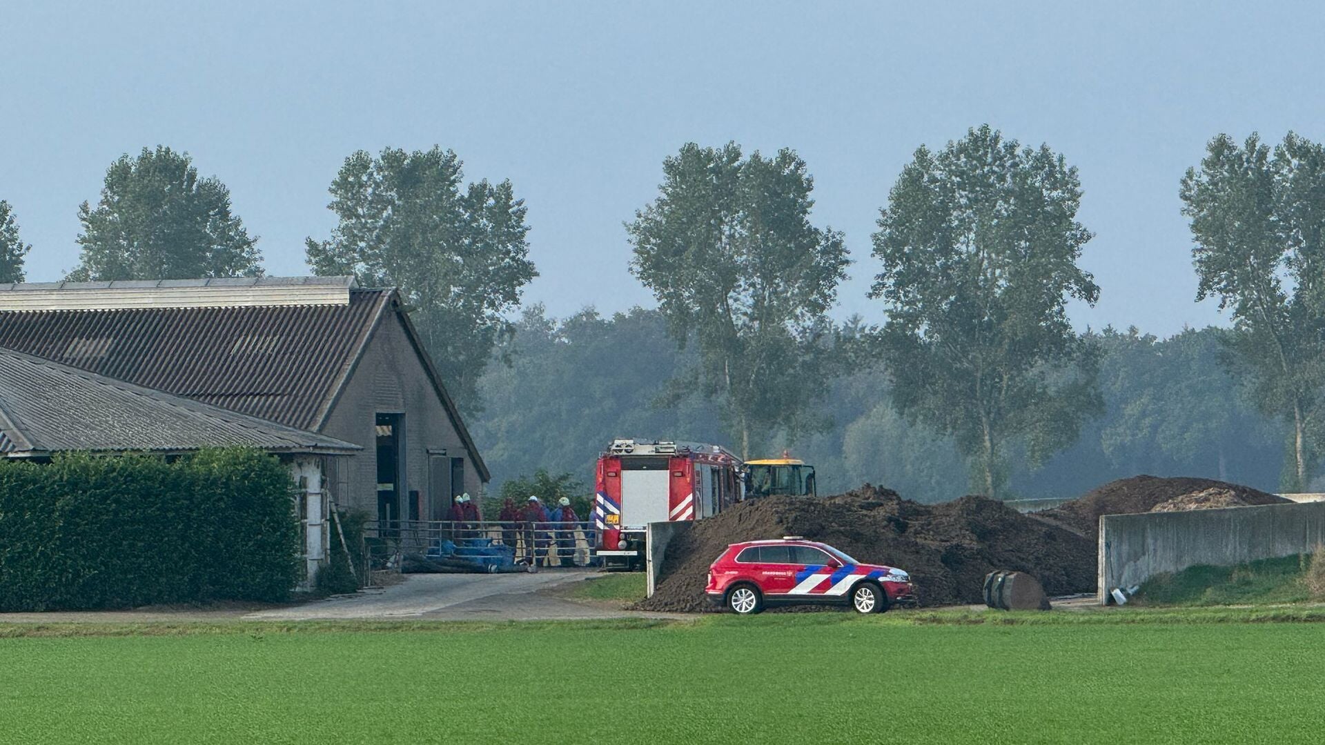 Dieren in gierput bij boerderij in Erp