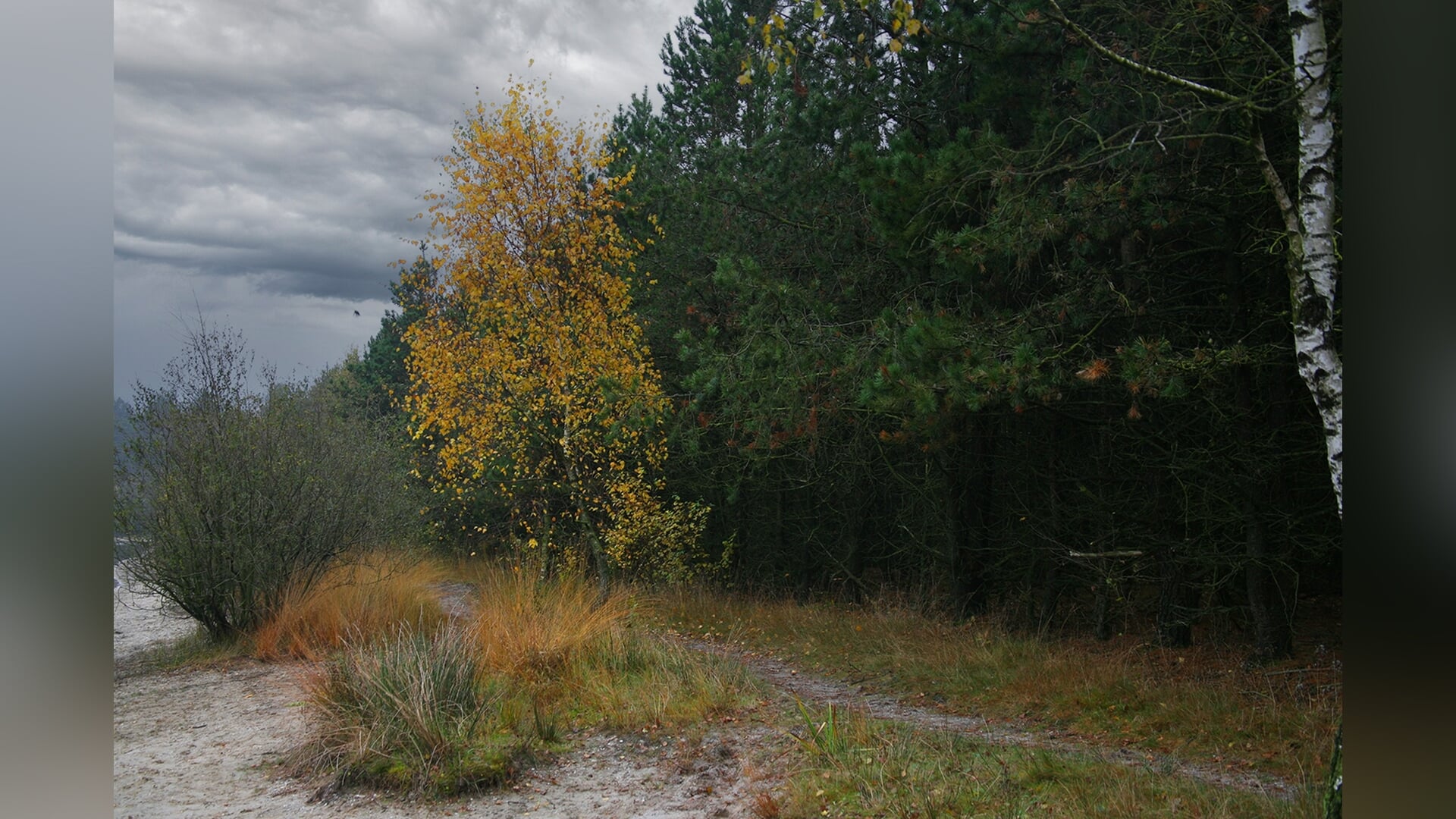 Fotoclub Kiekus zoekt jouw herfstfoto!
