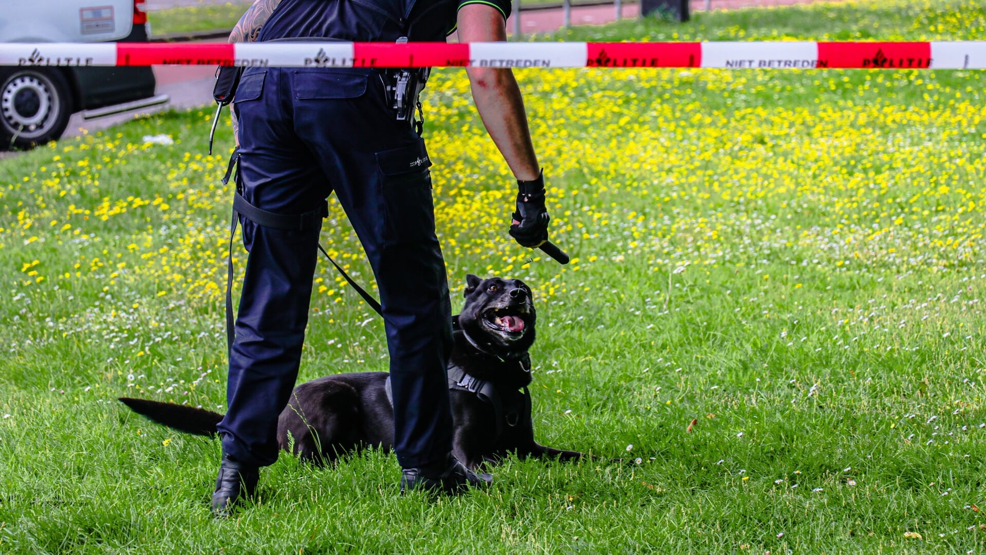 Politie zoekt naar groot vleesmes na ruzie tussen scholieren ...