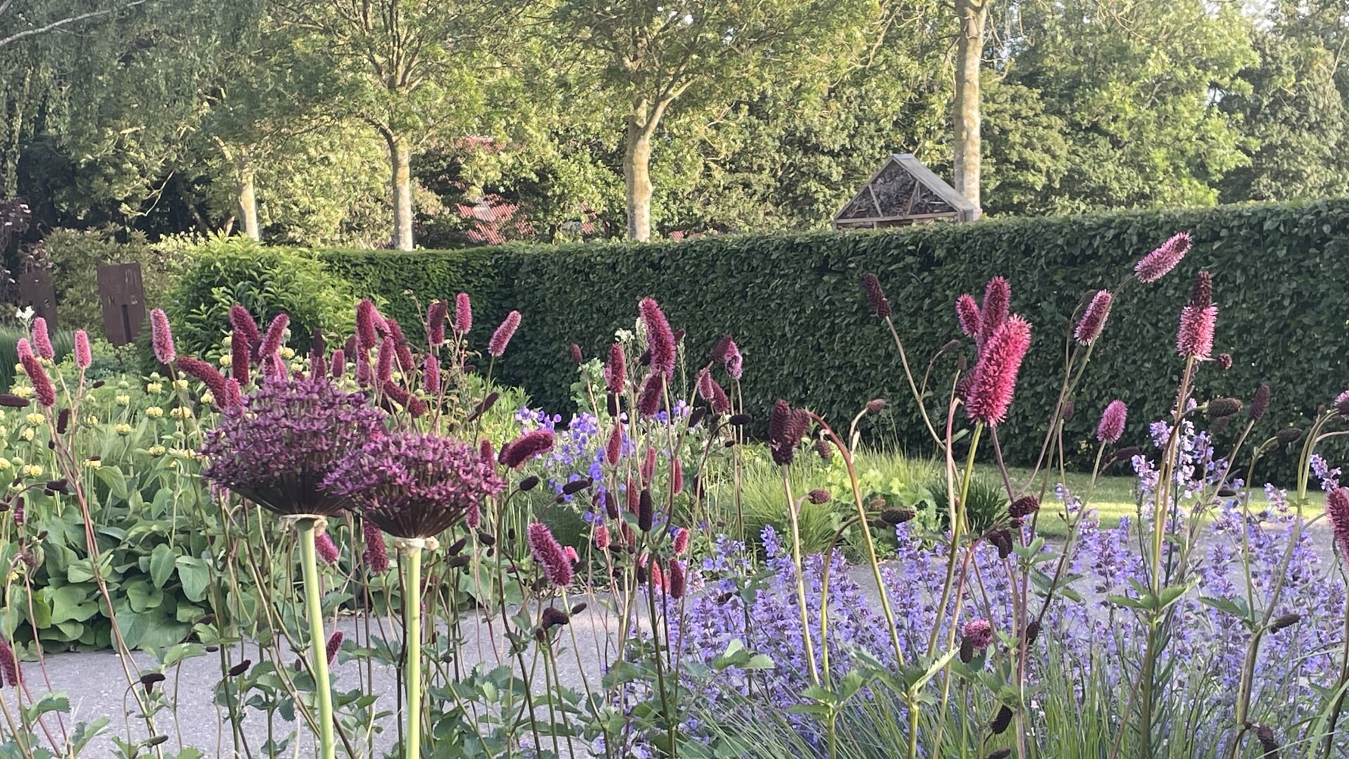 Ontdek het groene geheim van de Noordoostpolder! De Open Tuin Dagen van Groei & Bloei staat weer voo