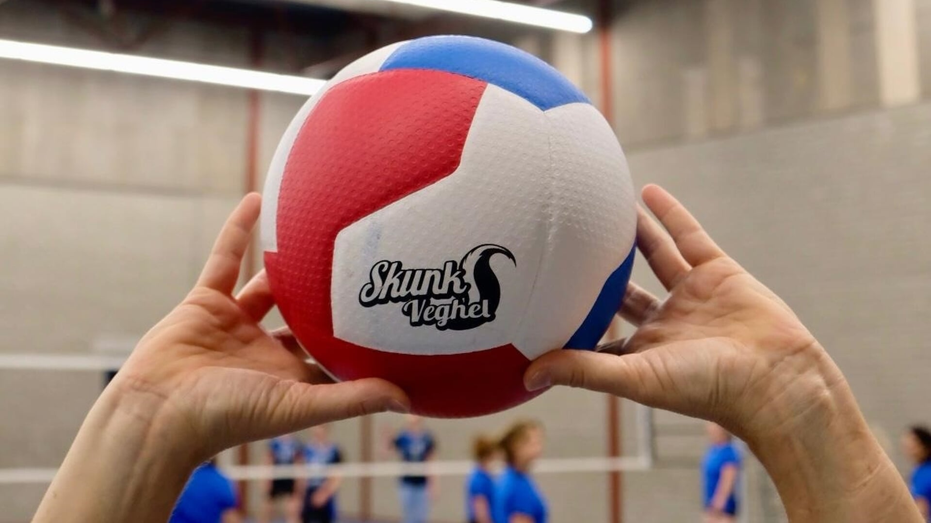 Start to Volley: een leerzame beginnerscursus