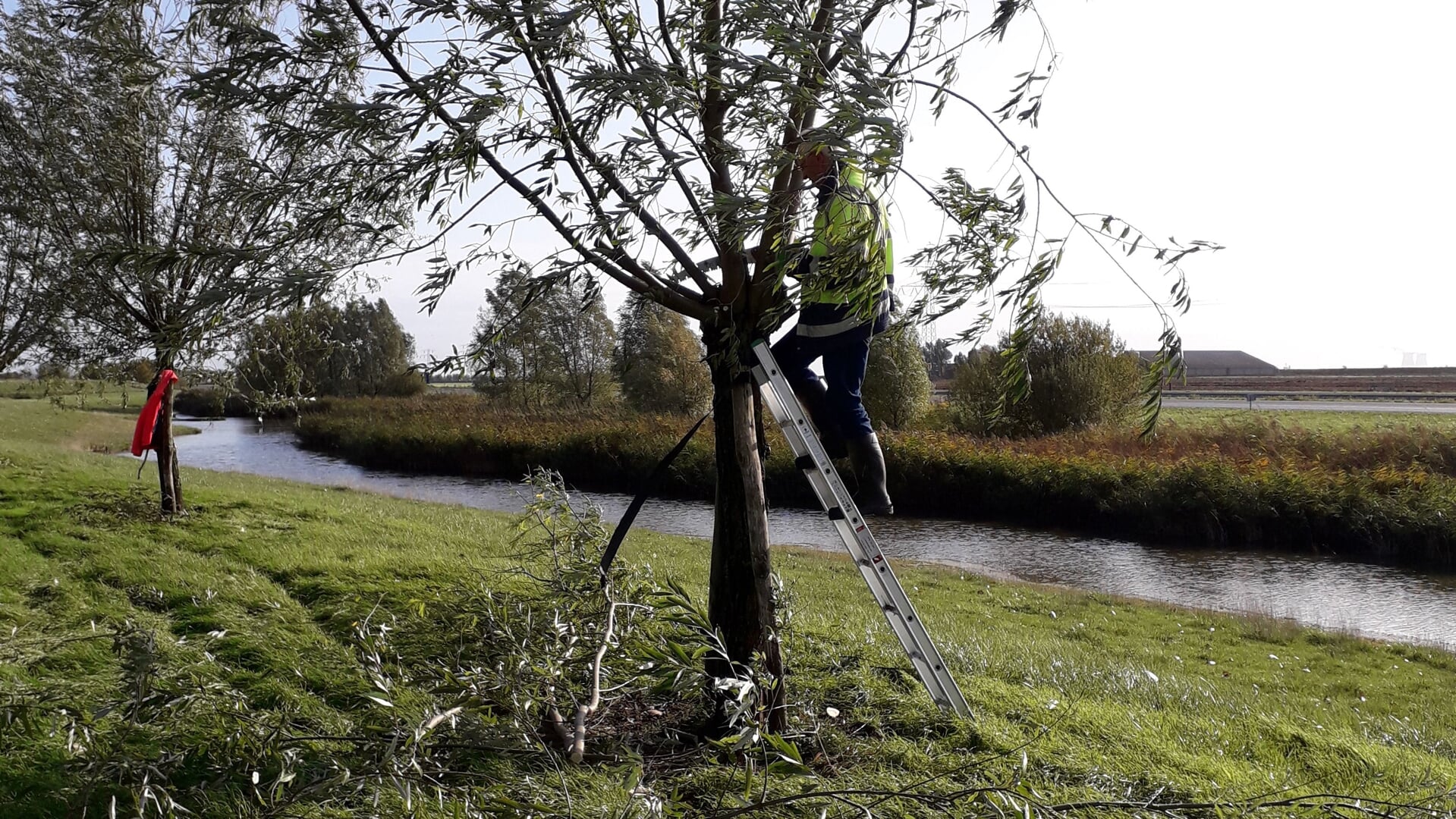 Krabbendijke viert zaterdag jubileum bij Natuurwerkdag