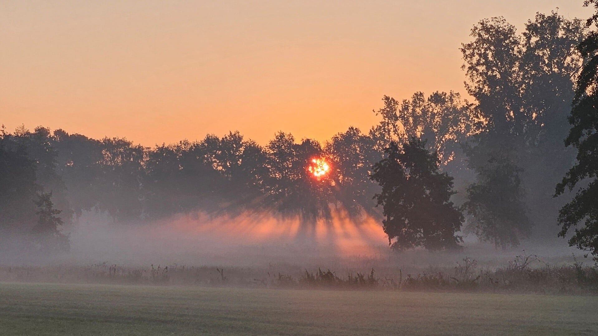 Foto van de Week!