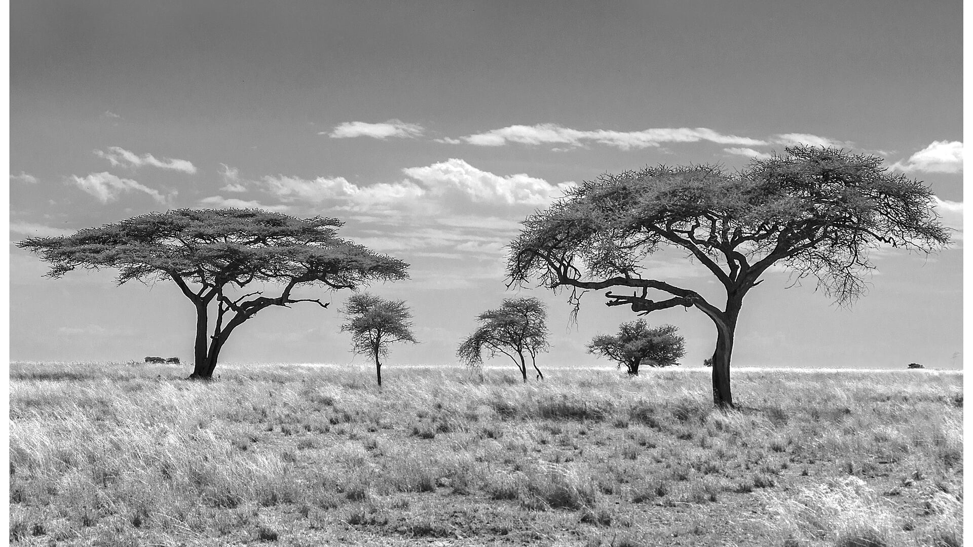 Fotoclub Veghel exposeert in De Hertoghof in Veghel