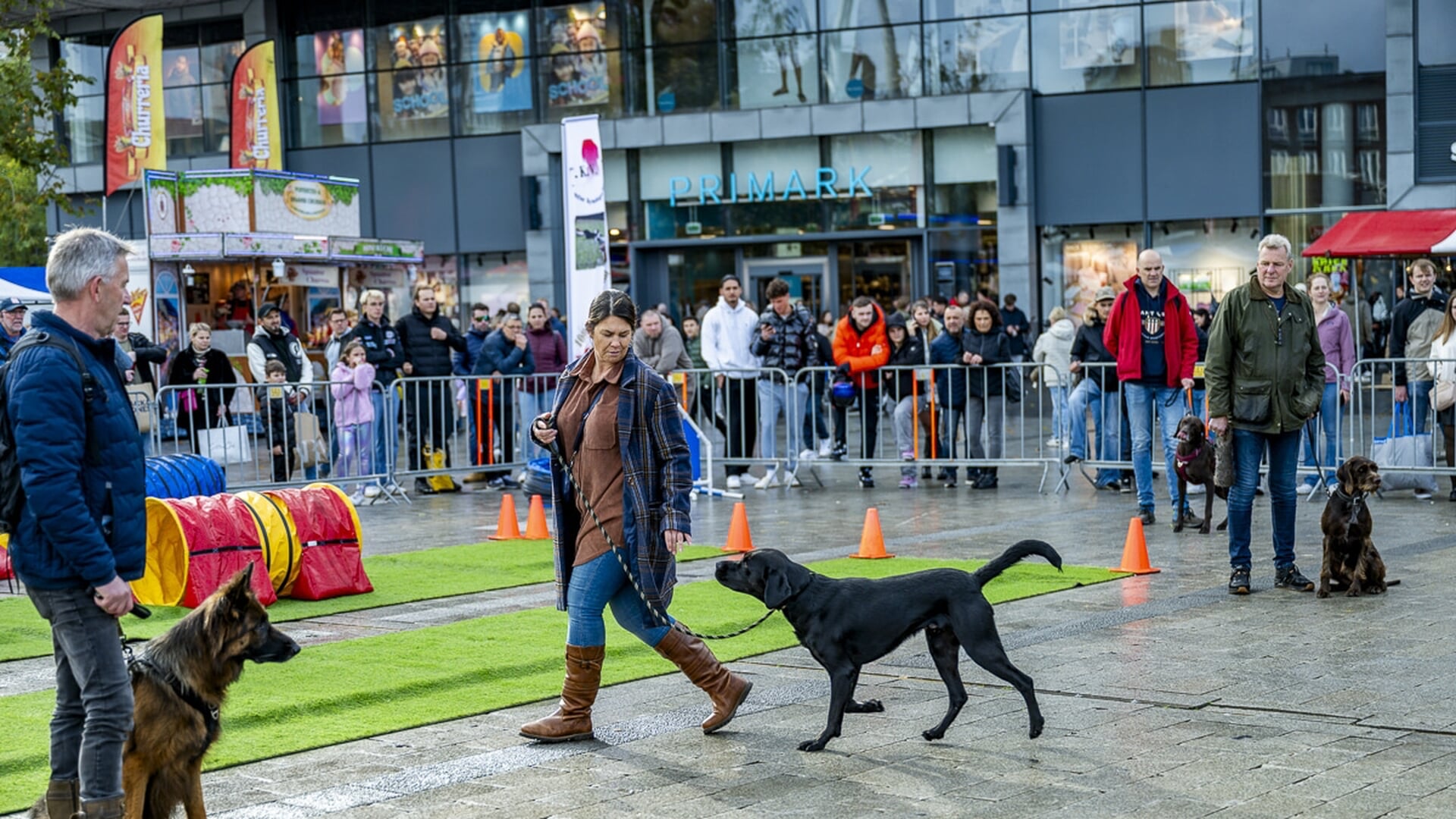 Dog Day op Van Heekplein