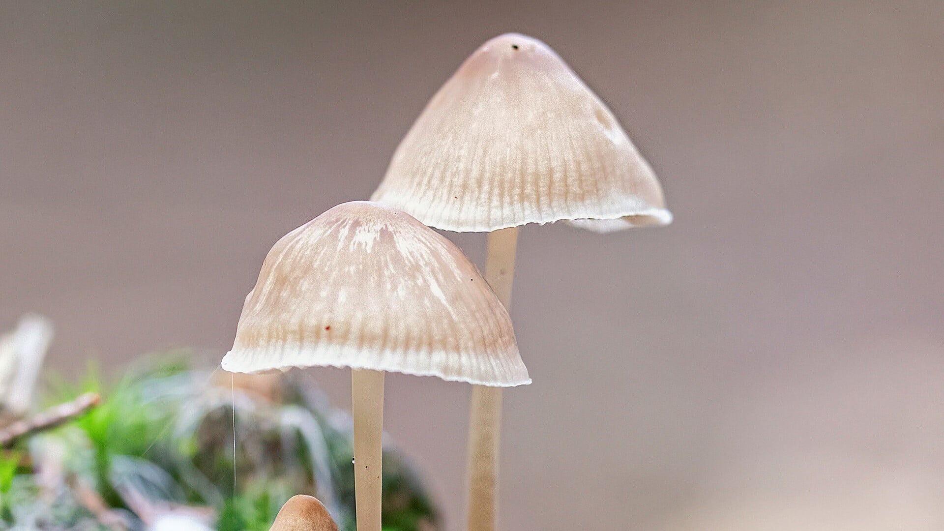 Herfstexcursie Aa-broeken: ontdek de magie van de herfst