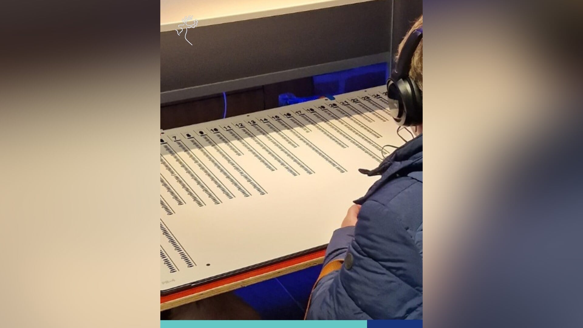 Iedereen kan stemmen, met of zonder extra hulp