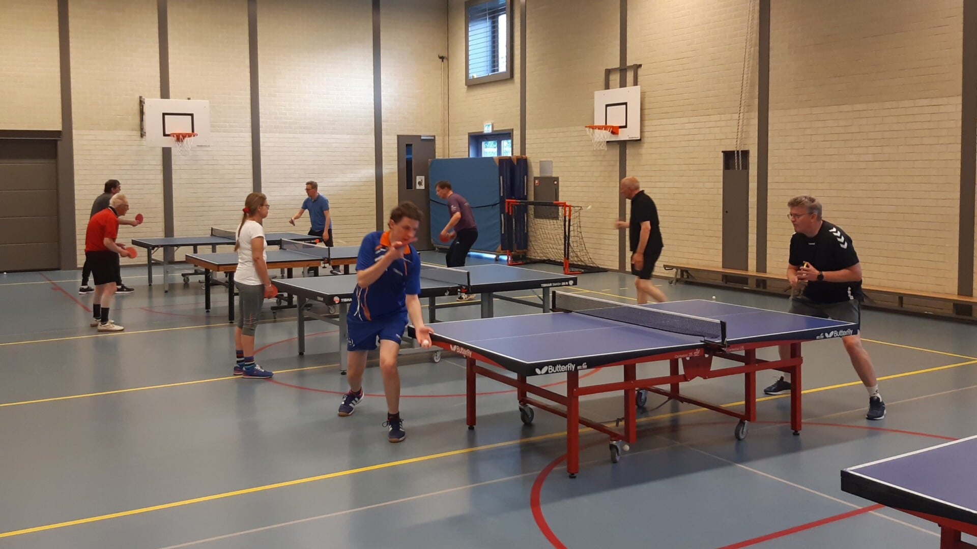 Vijftig jaar tafeltennis in de regio: speurend Delta Impuls jubileert