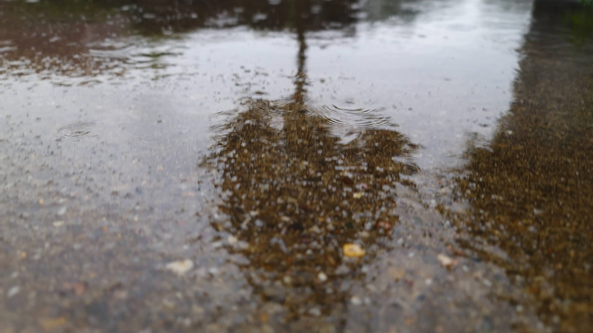 Regenachtig stemweer op verkiezingsdag