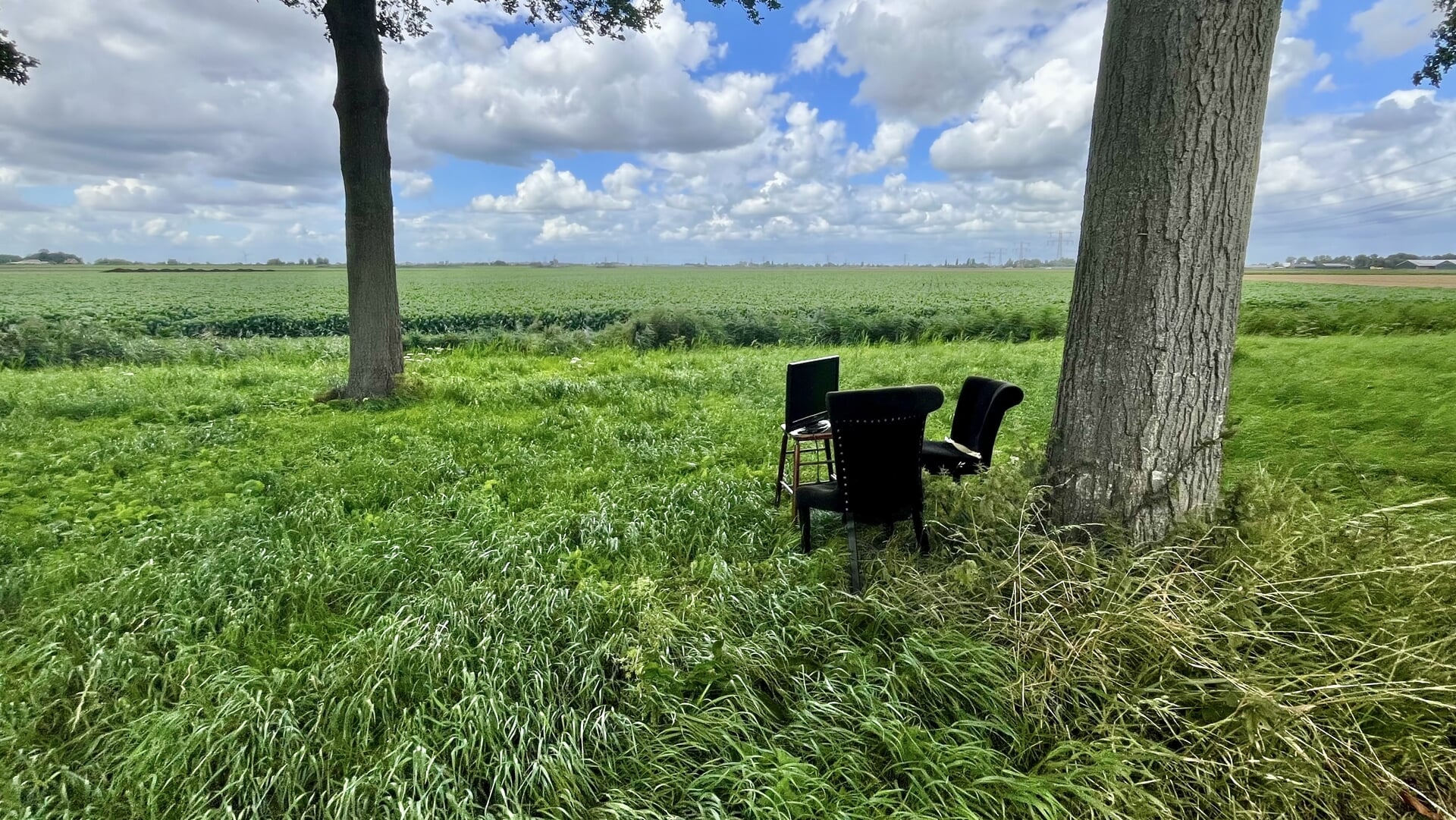 Bijzonder zitje gespot in gras langs Tweemanspolder