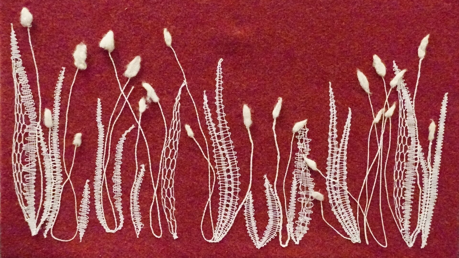 Kantkloskunst in De Diessenplas: expositie van de Holtense groep De Hoolt’n Klöskes