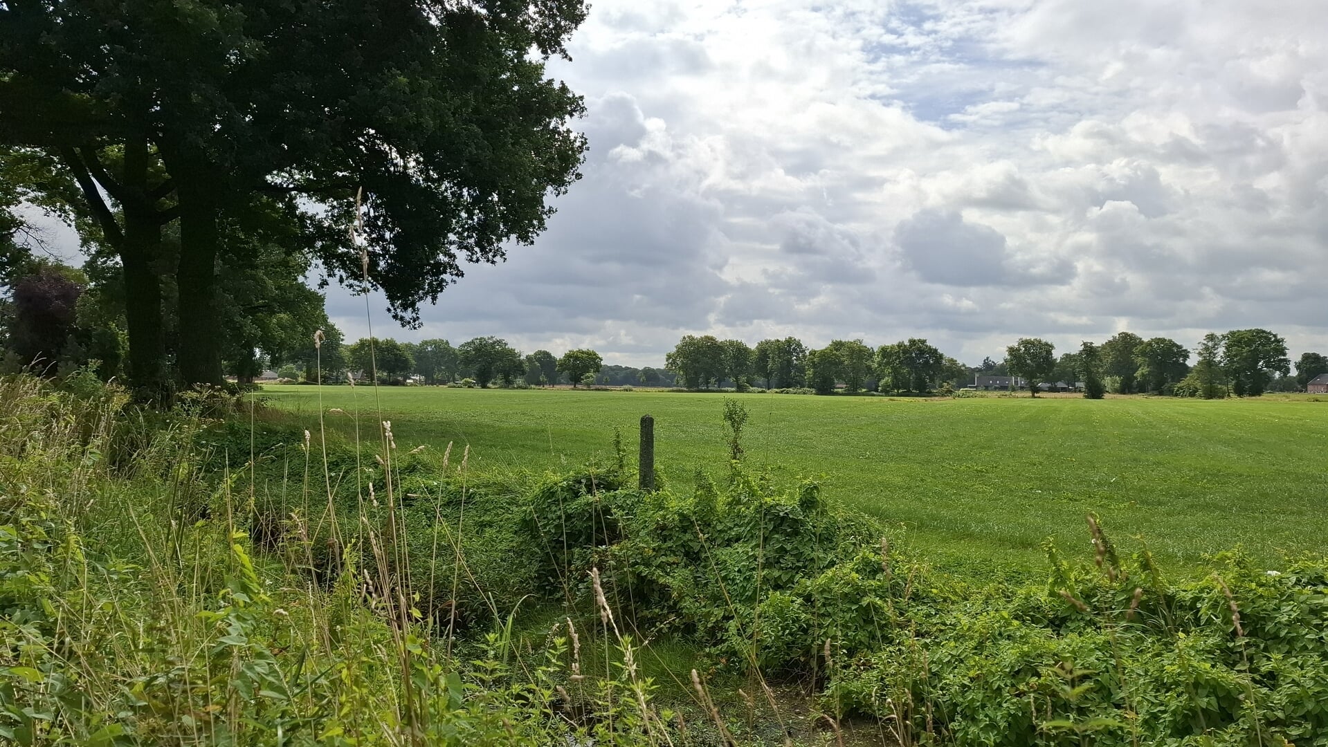 Weekendweer Almelo: veel bewolking, zacht en soms wat zon