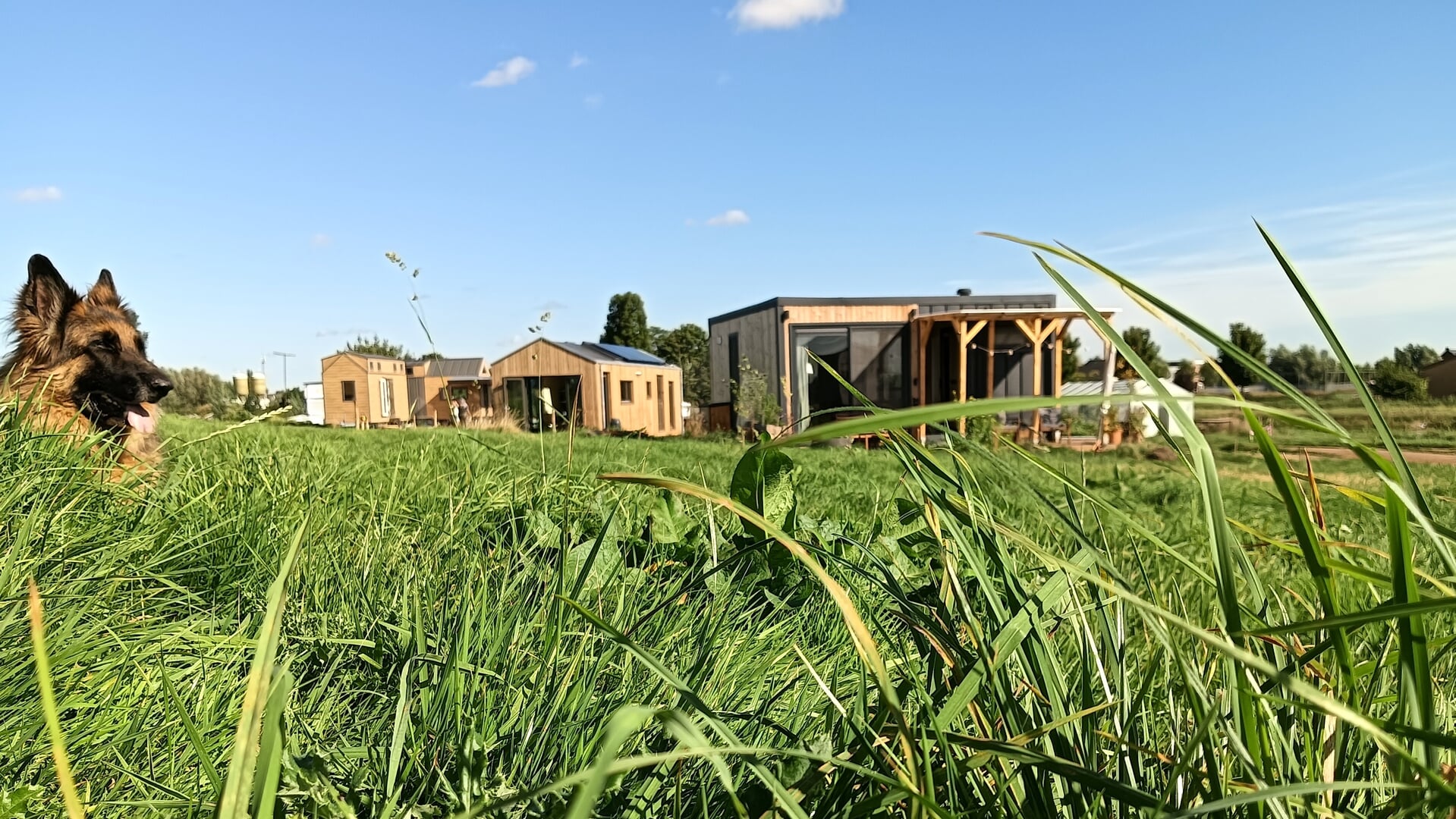 Tiny houses bekijken in Zevenhuizen