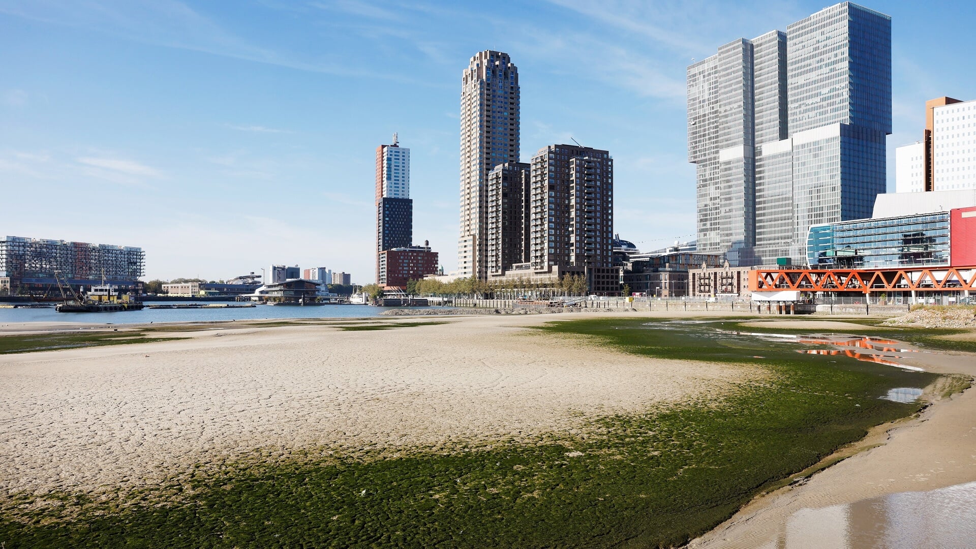 Er ontstaat een strand in de Rijnhaven, maar wat verandert er nog meer ...