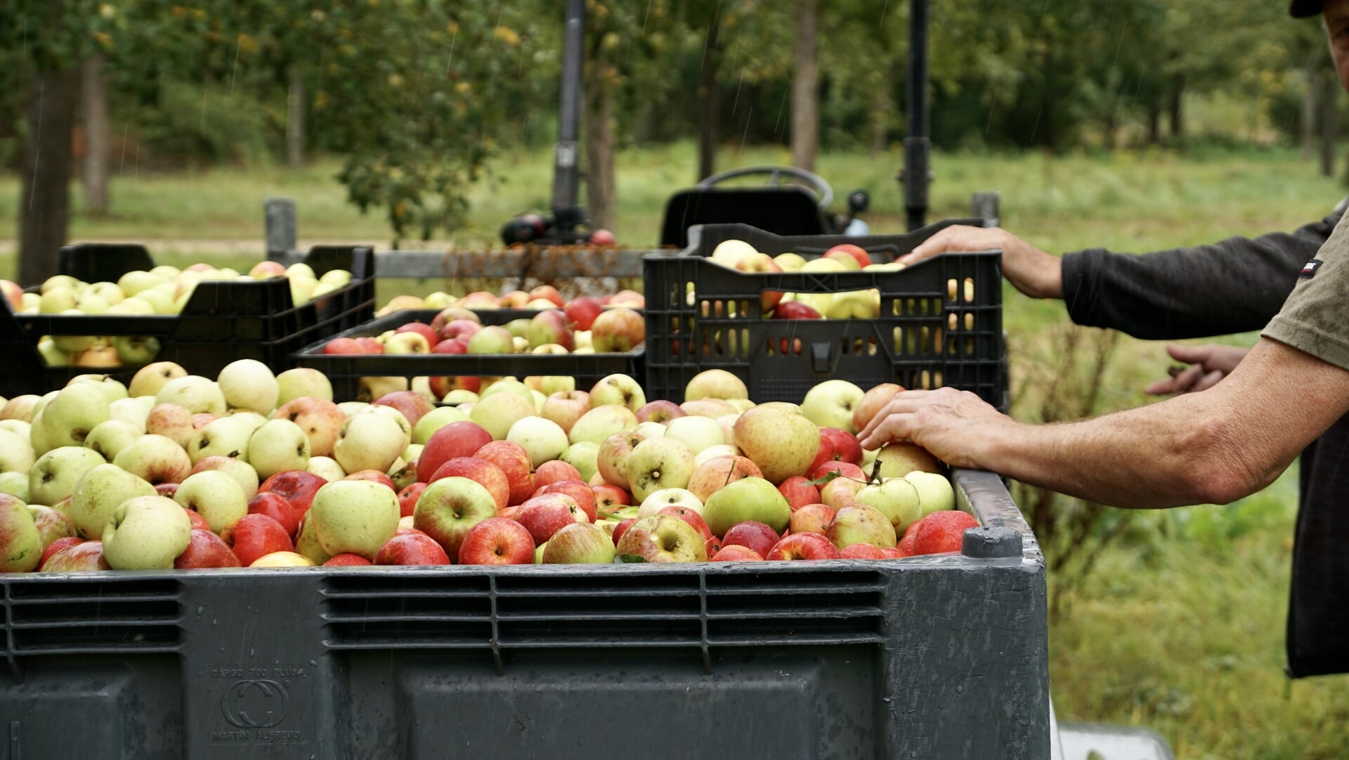 De smaak naar meer op zaterdag 4 oktober: Oogstevenement op Fruithof Frederiksoord met overvloed aan