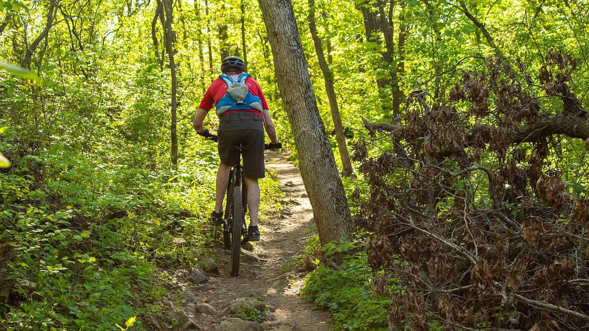 Eerste lustrum “Oldejulje Buffeltocht” op zondag 28 september