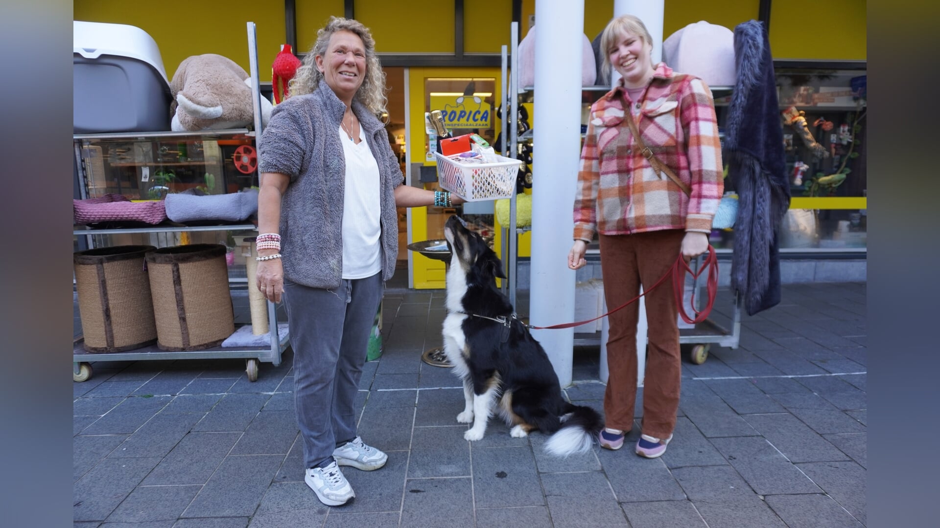 Tropica dierendag prijzenpakket voor Midas