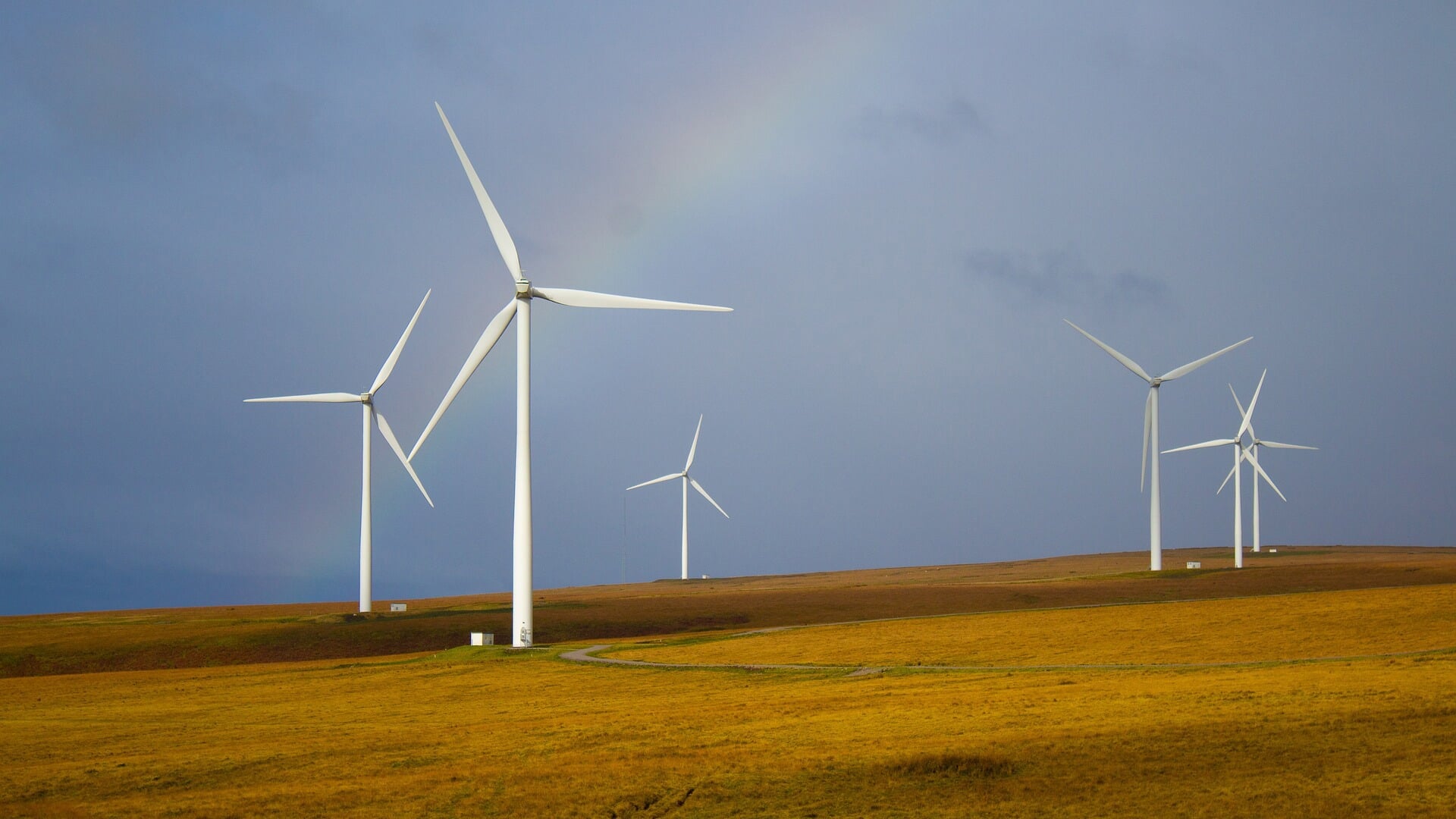 Coöperatie Steenergie mag verder bouwen aan wind in Steenwijkerland