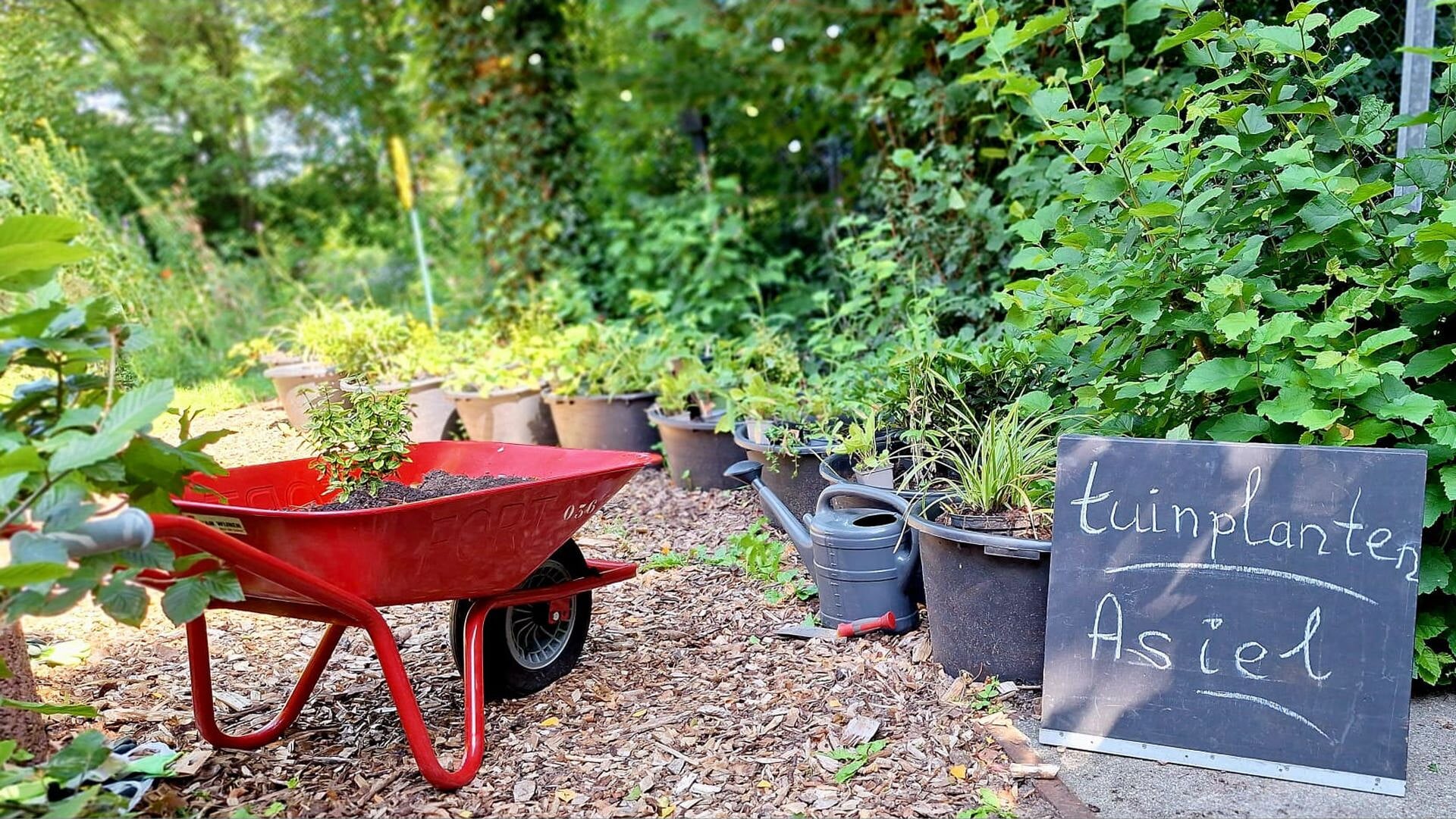 Tuinplantenasiel opent met feestelijke ruilmiddag bij De Roode Schuur