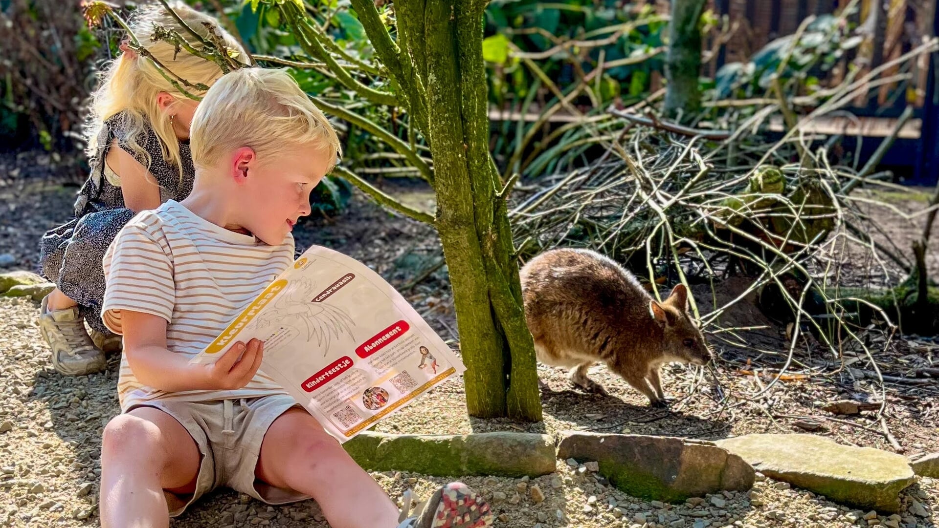 Veel activiteiten bij Dierenpark Taman Indonesia: Tropische herfstvakantie ‘Wijs met dieren’