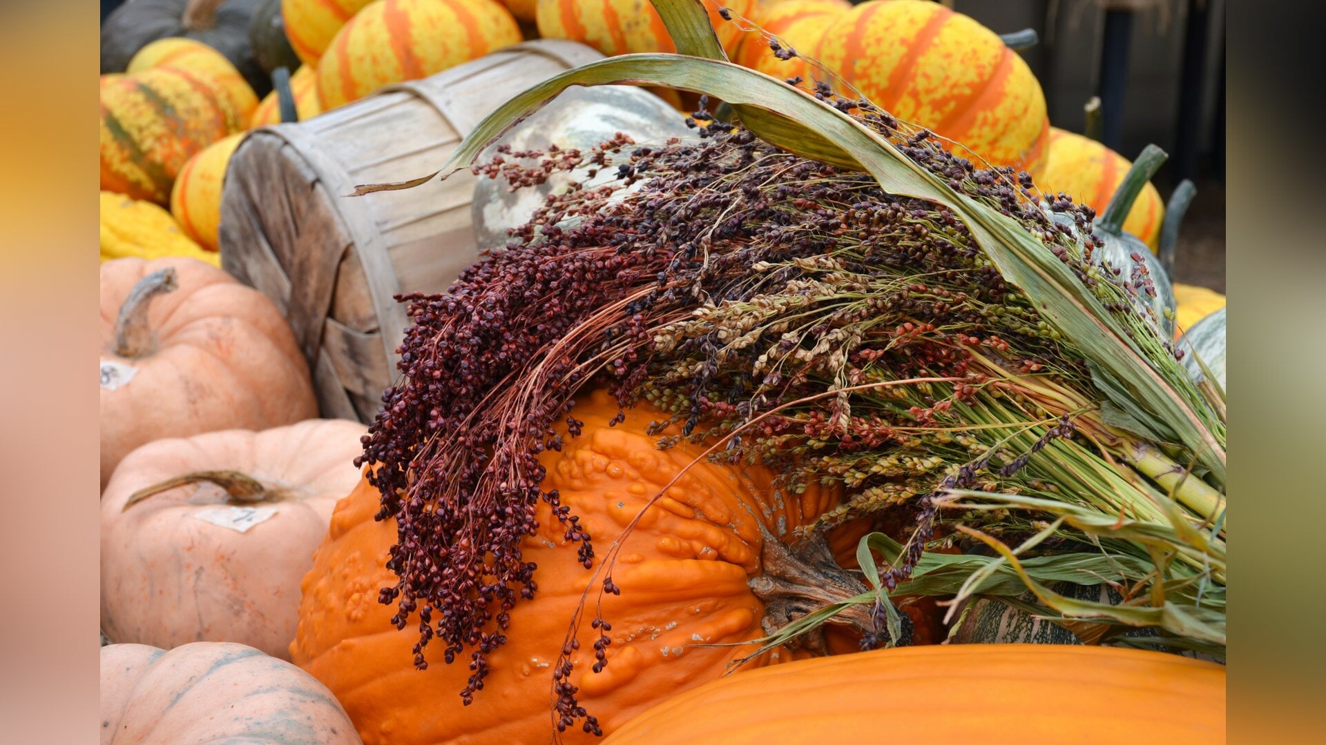 Herfstbraderie in het centrum