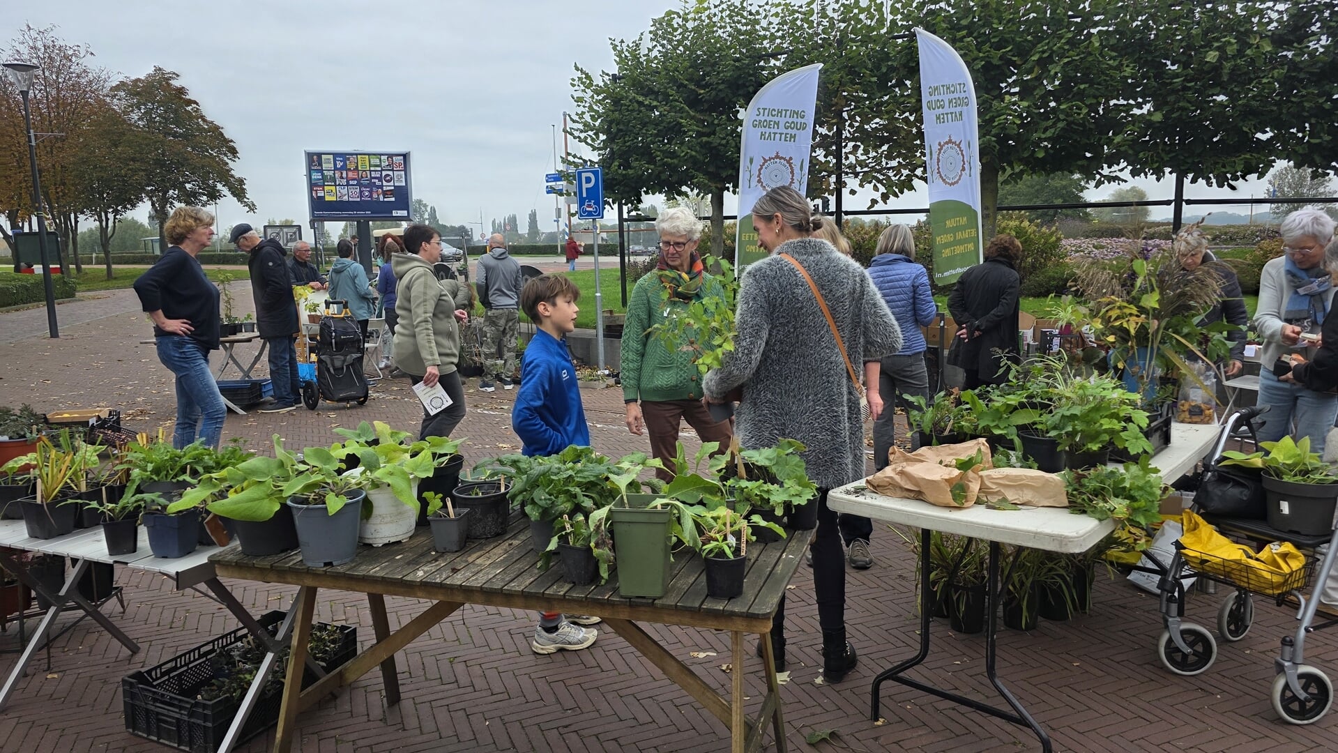 Ruim aanbod Groen Goud plantjes-en stekjesmarkt