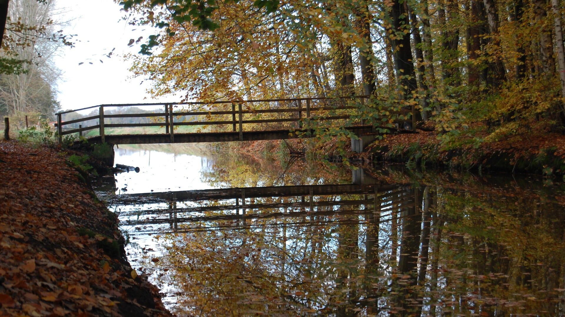 IVN-wandeling over landgoed Helmhorst, tussen Isala en Berkum