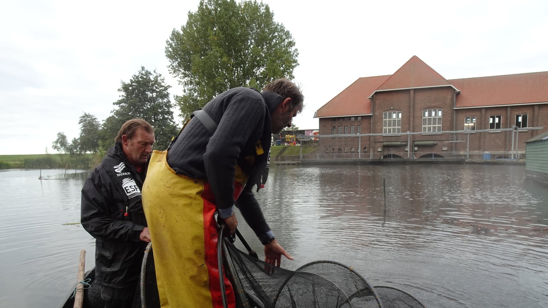 Project ‘Paling over de dijk’ is succes: Visser Stefan Lok uit Belt-Schutsloot helpt palingen Gemaal