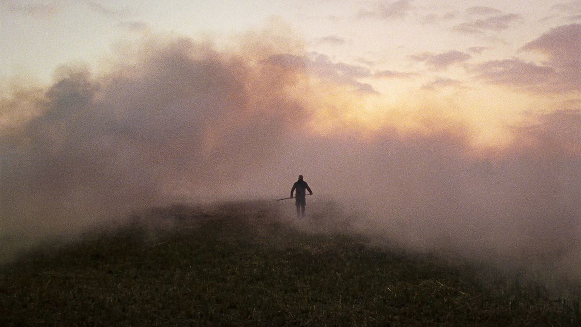 Filmhuis Steenwijk: de veelgeprezen Rietland in de nieuwe reeks