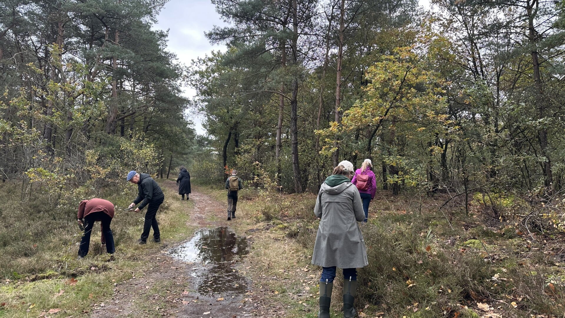 Partij voor de Dieren en bosbaden