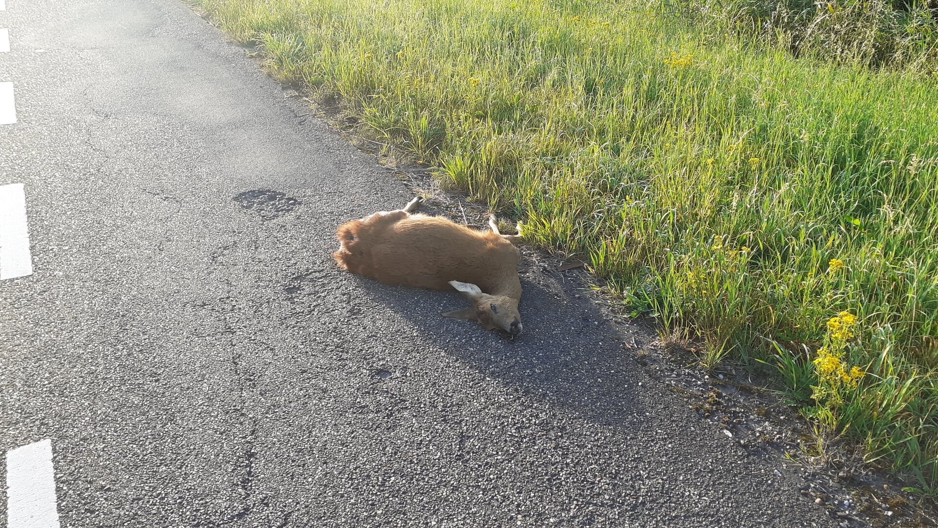 Bosgeluiden | Let extra op: de wintertijd is ingegaan!
