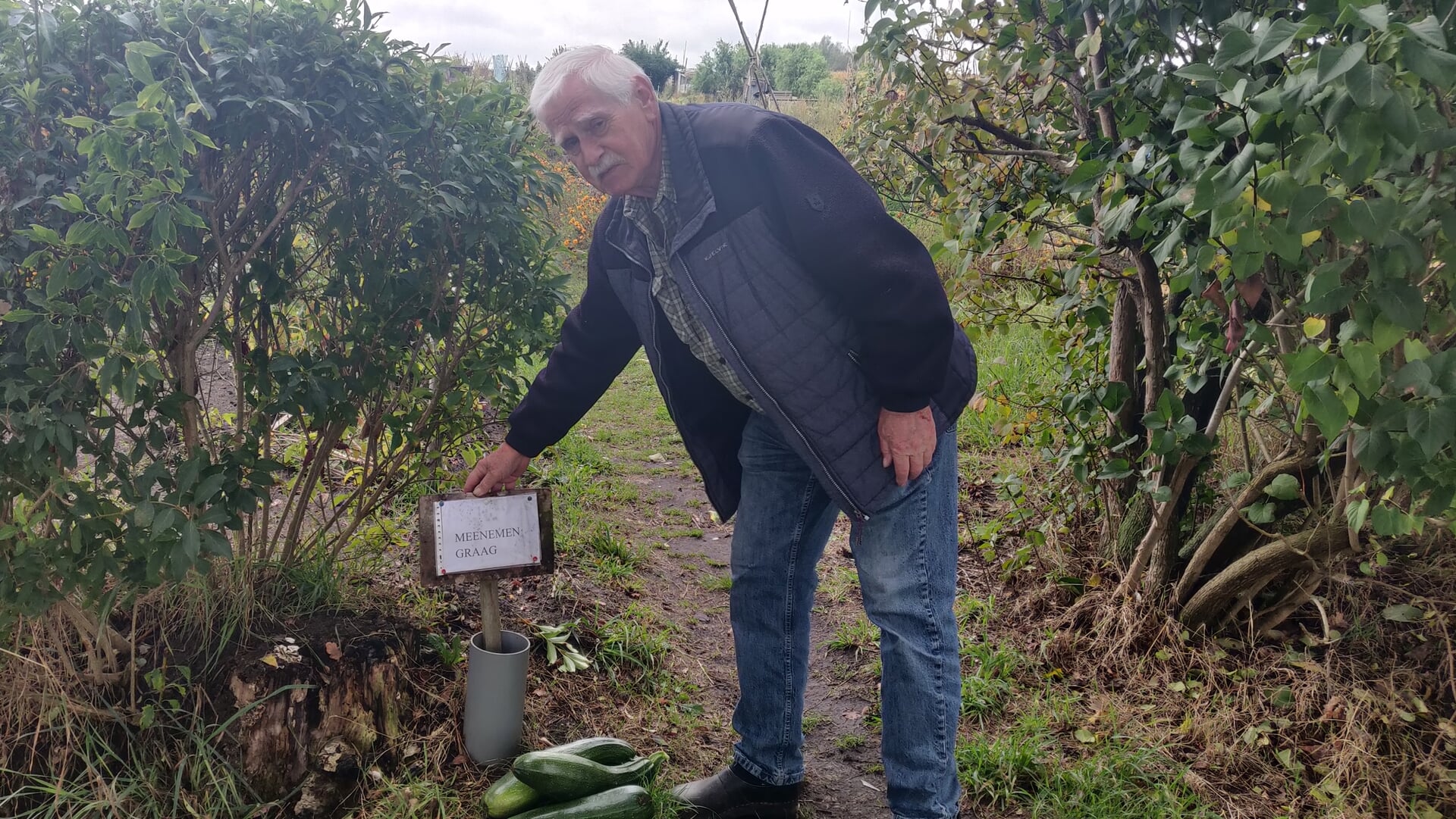 In the Picture deel 57: Jaap Kleiker en het wonder van zijn moestuin