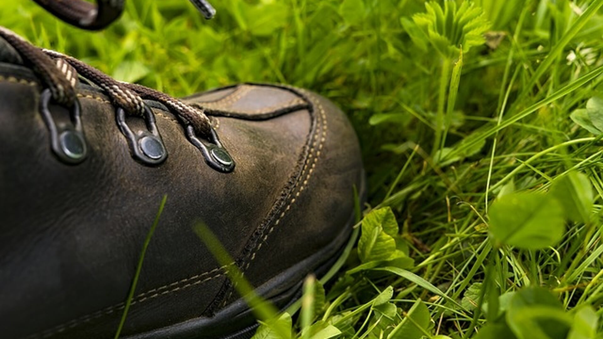 Blauwvingerwandeltocht 2.0 voert door Zwolse binnenstad