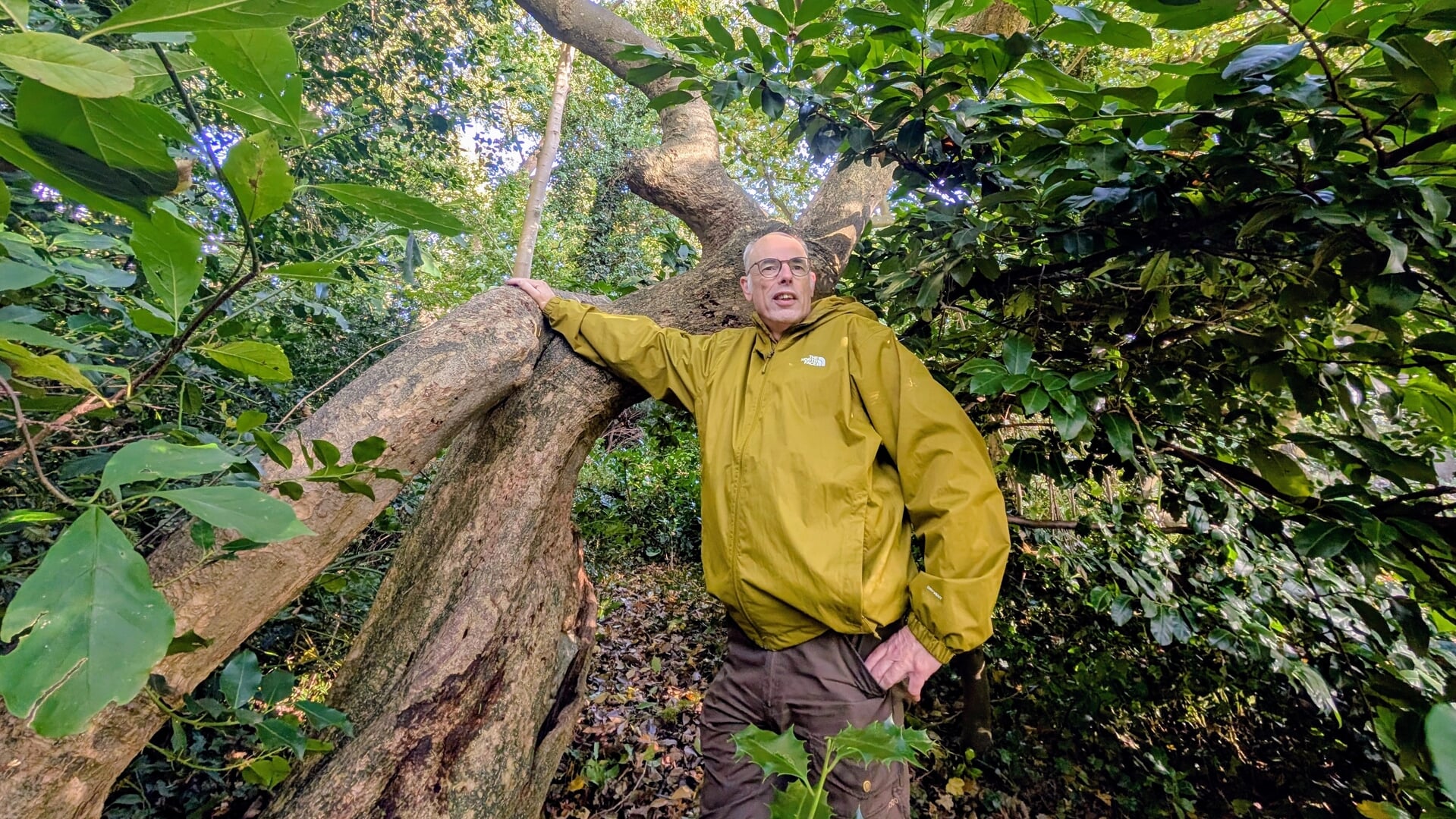 Natuurwerkdag staat in Hasselt in het teken van jubileum Van Stolkspark met tal van activiteiten