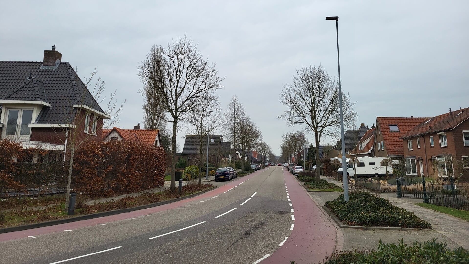 Nieuwe regels voor bomen