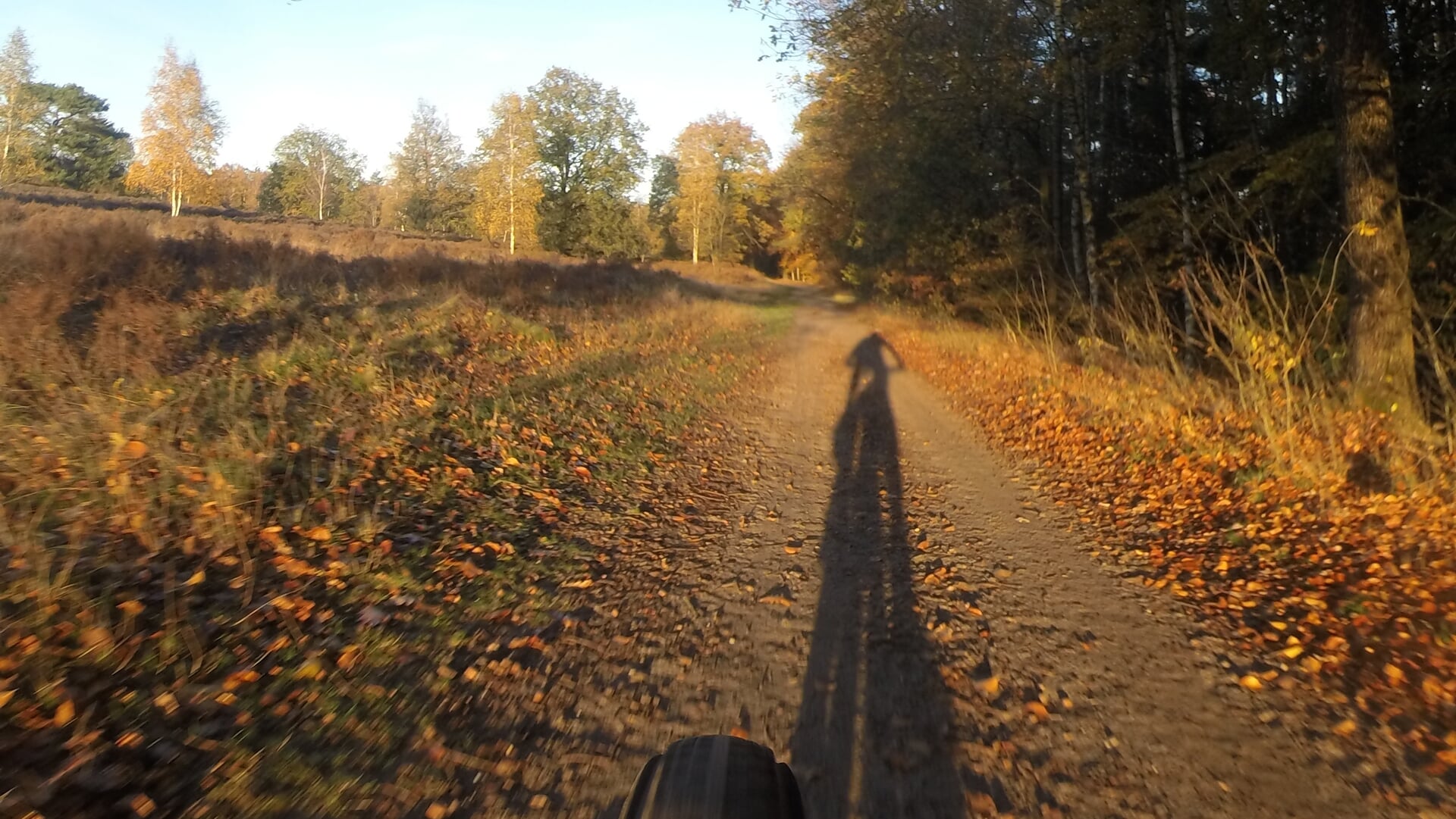 Swolsebostocht voor mountainbikers door bos en heide rond Wapenveld