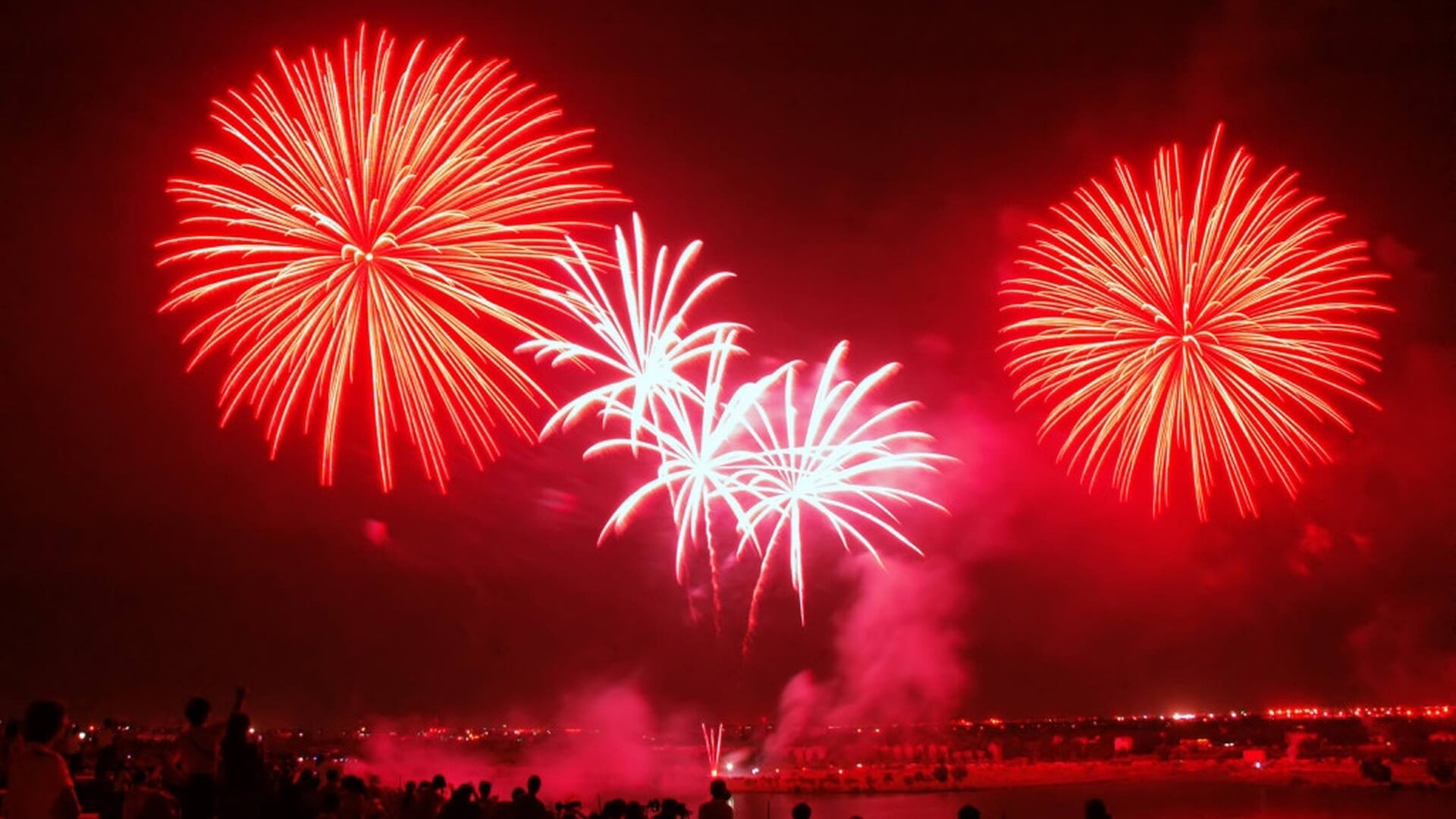 Komende jaarwisseling vuurwerkverbod in Zwolle, wel vuurwerkshow in Wezenlandenpark