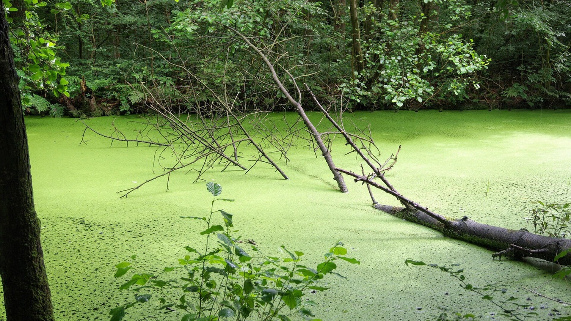 Recreatie en toerisme zet de Noordoostpolder op de kaart