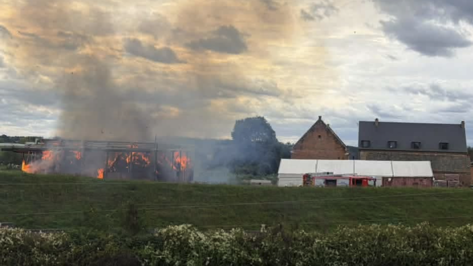 Vier dieren overleven zware uitslaande brand in Bierbeek niet