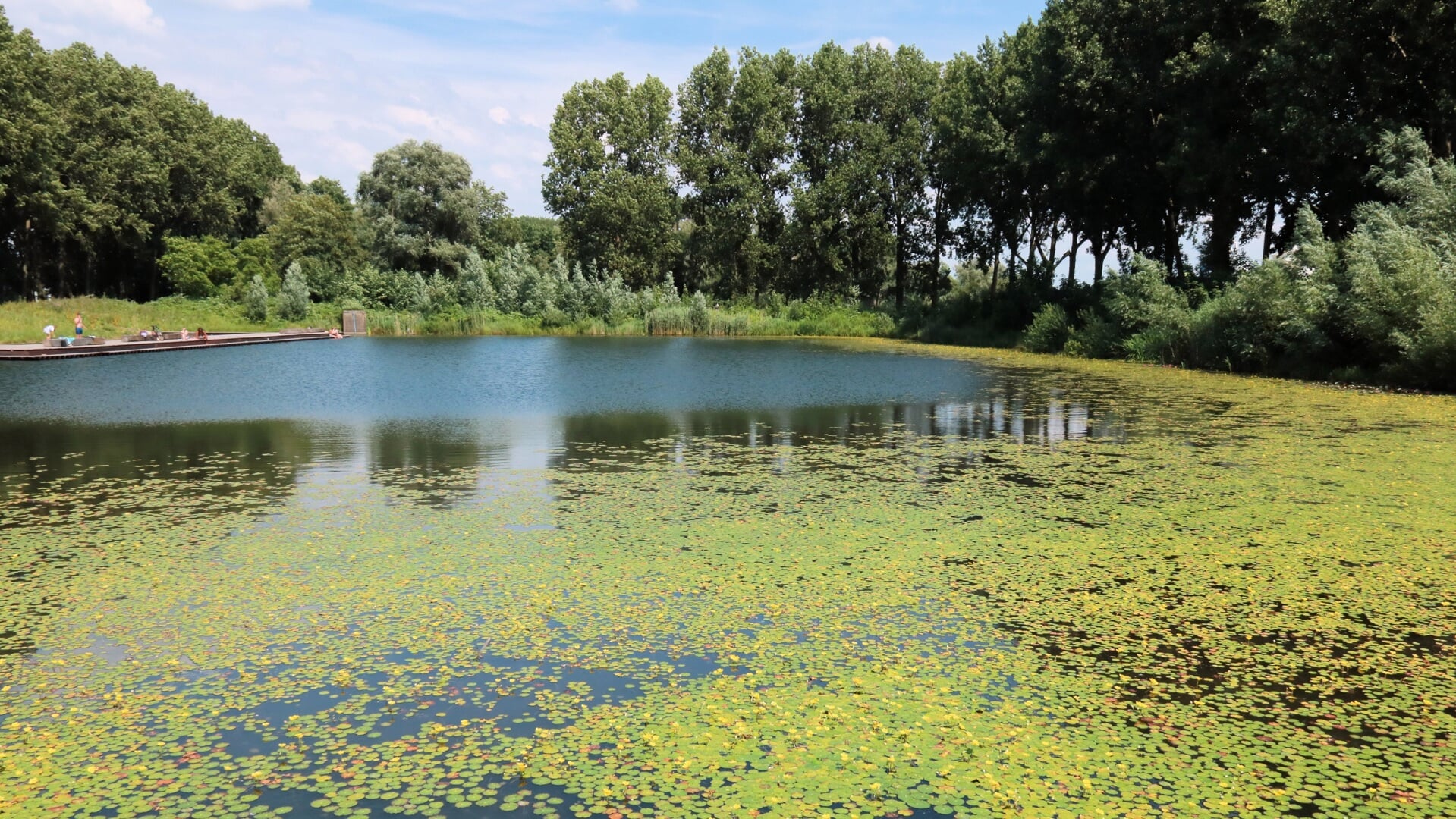 Behalve de Rijnhaven komt er ook een plek om buiten te zwemmen op het ...