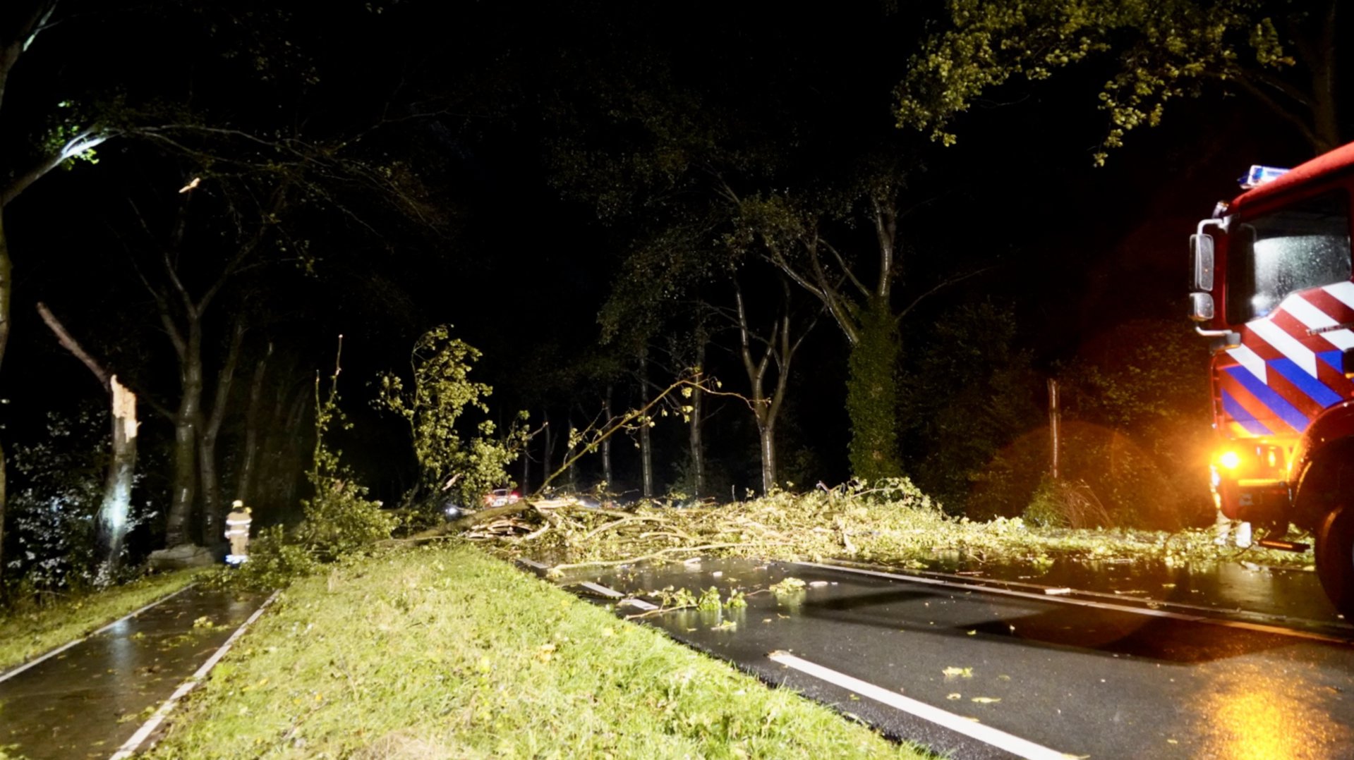Grote boom blokkeert N272 bij Sint Anthonis