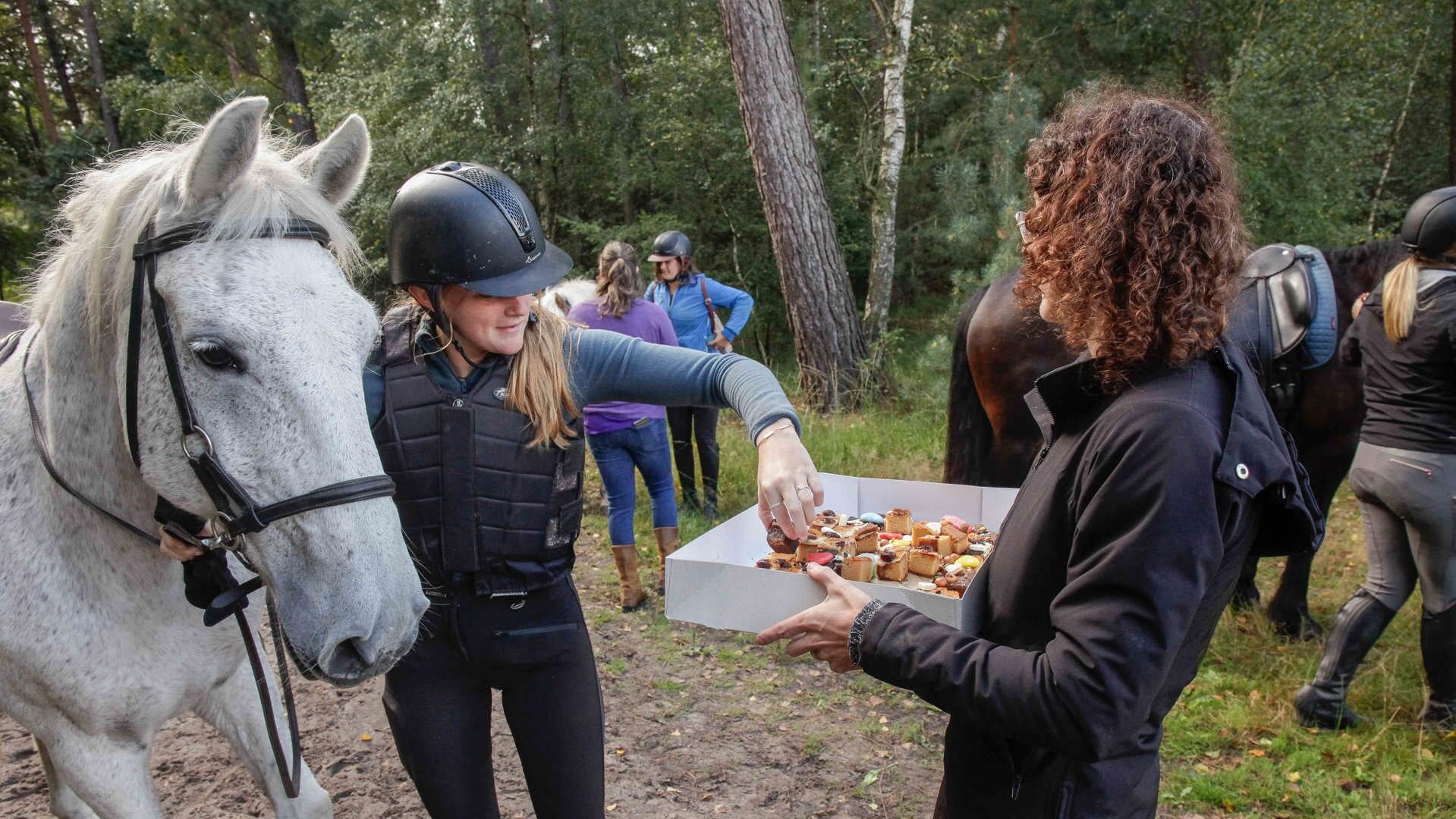 Een puzzeltocht voor menners, ruiters en bikers in en om Huijbergen