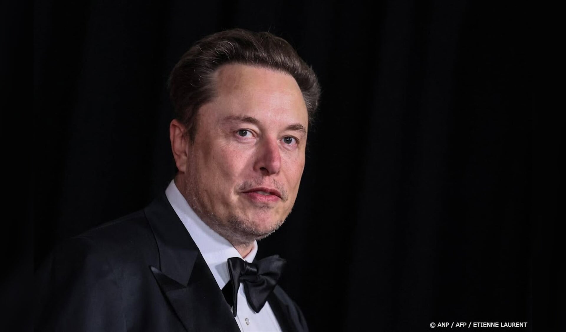 Die Positionen der deutschen AfD scheinen nicht rechtsextrem zu sein, sagt Elon Musk