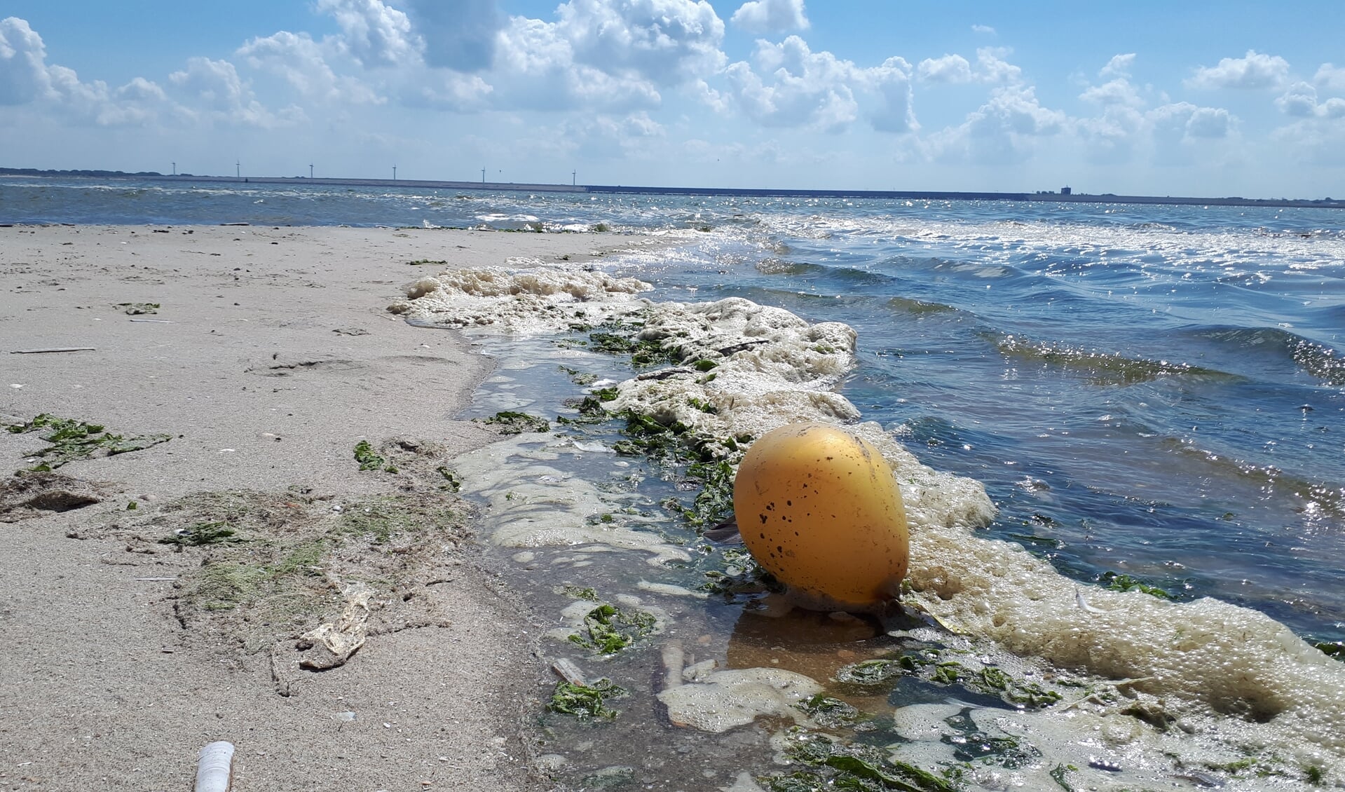 NLGO wil Groen Strand realiseren: natuurlijk, vol leven en zonder afval ...