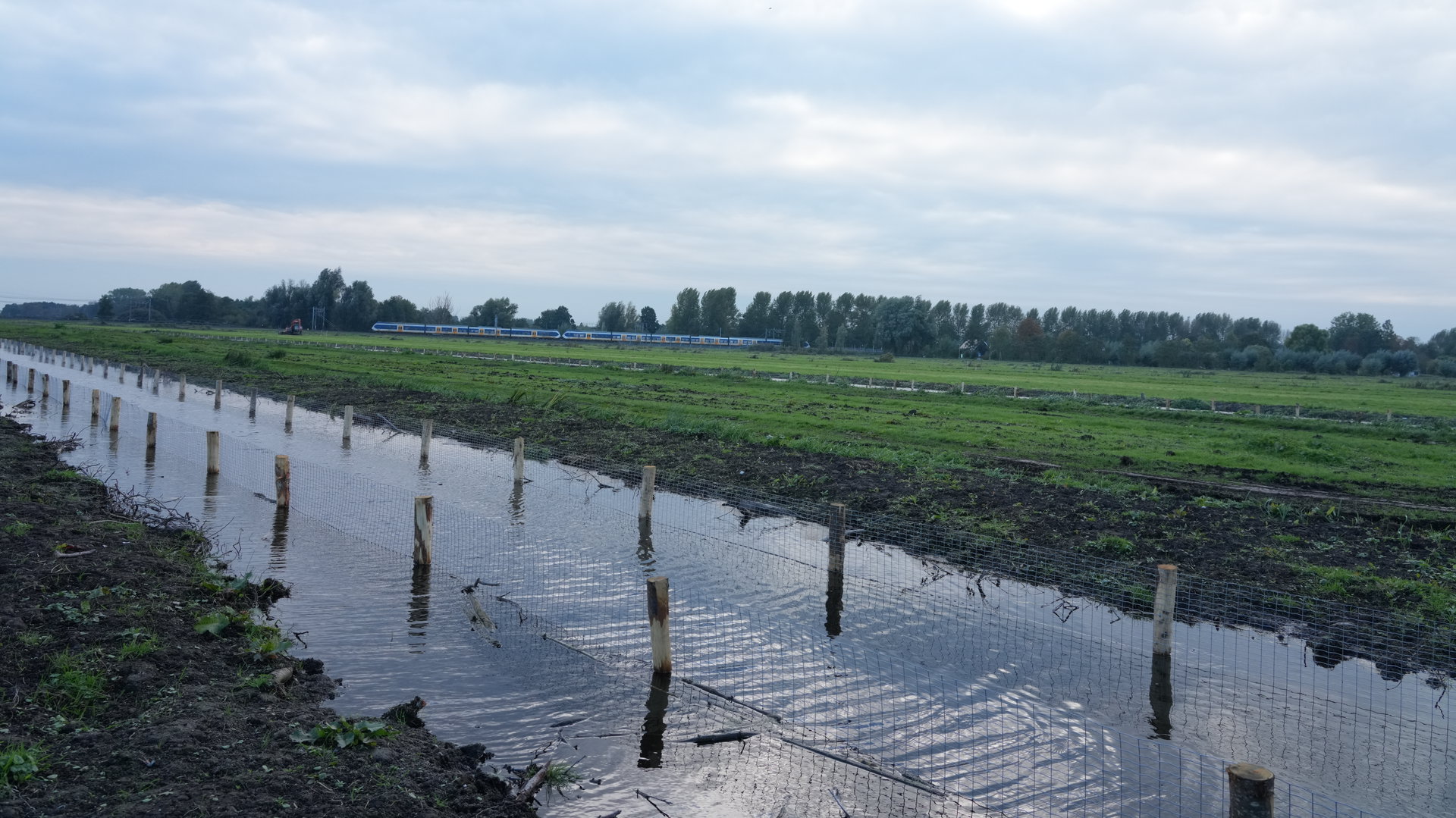 Vijf kilometer natuurvriendelijke oever aangelegd in polder Bloemendaal