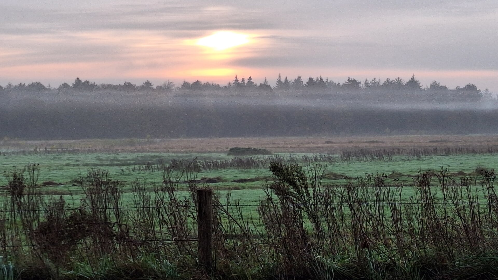 Lezersfoto van de week: de morgenstond heeft goud in de mond