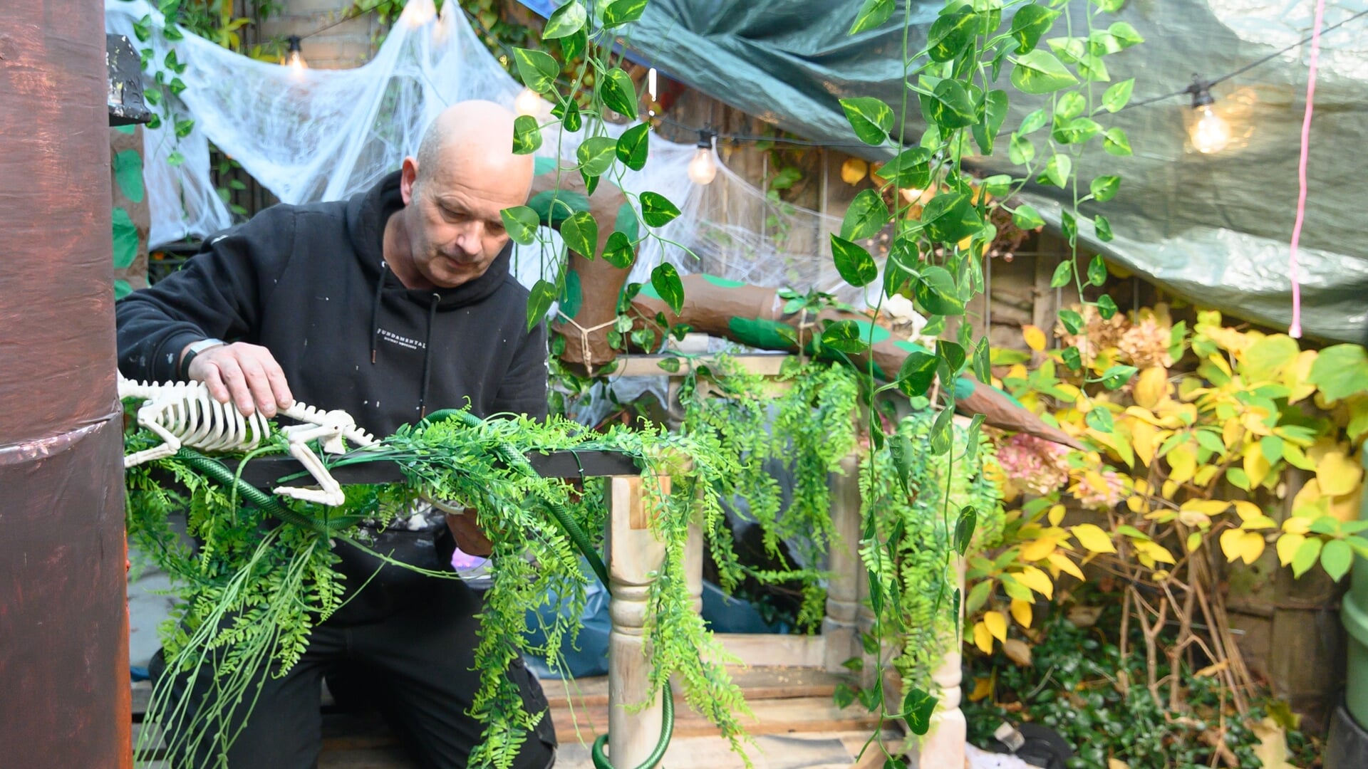 Angstaanjagende jungle verrijst in achtertuin Linschoten