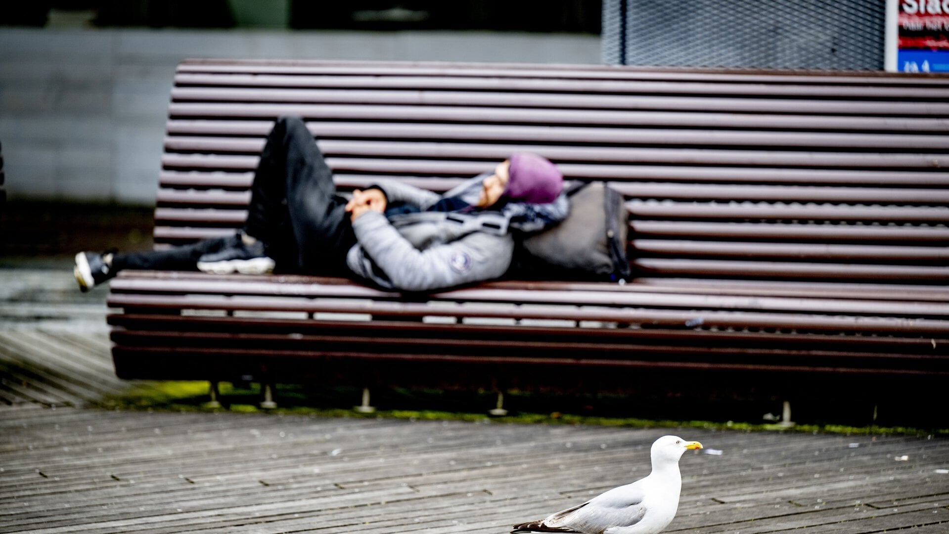 De donkere kant van de daadkracht van Rotterdam. Wat gaat Carola Schouten doen?